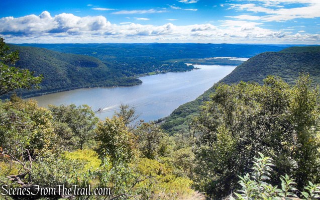 view south from Stillman Trail