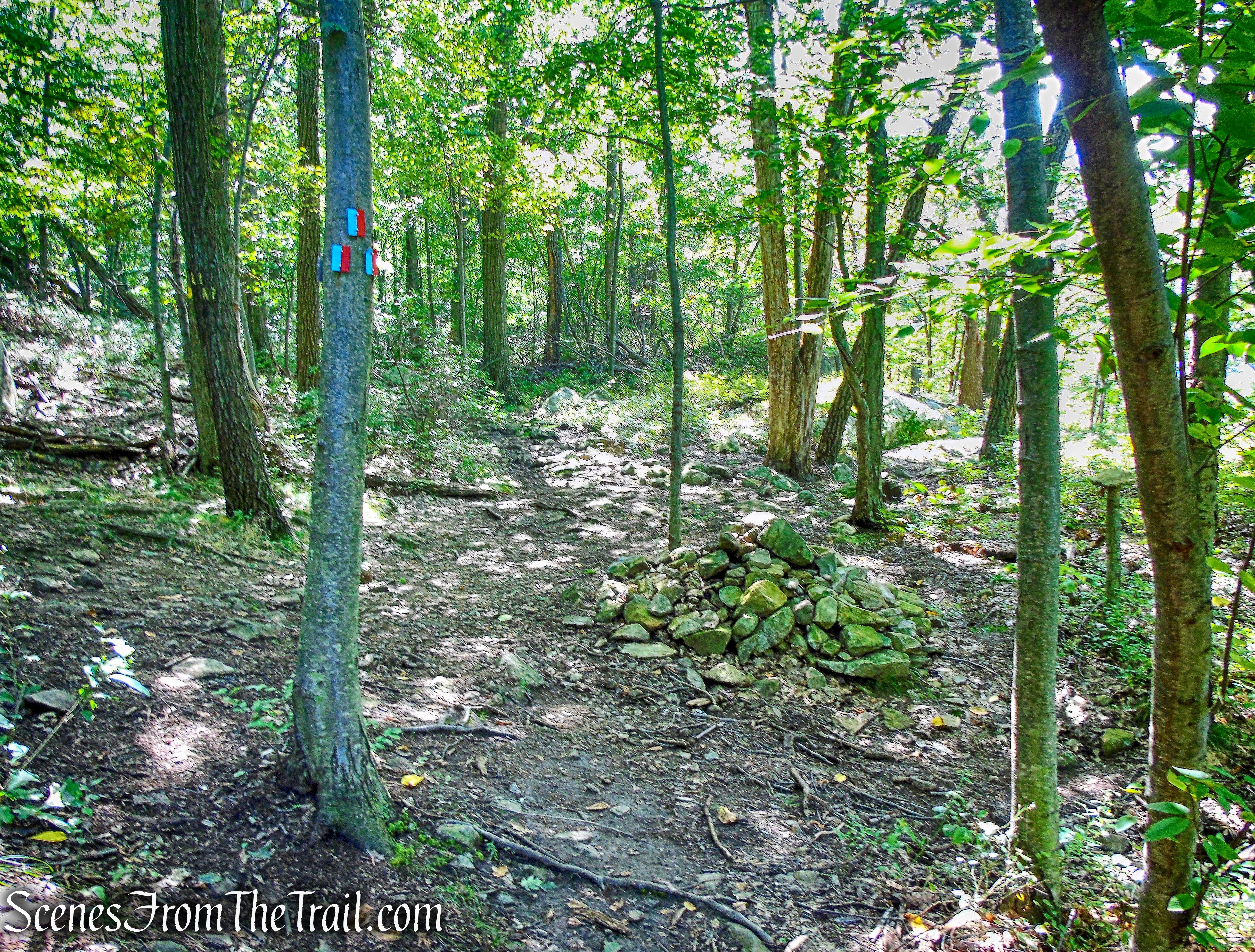 terminus of Bluebird Trail