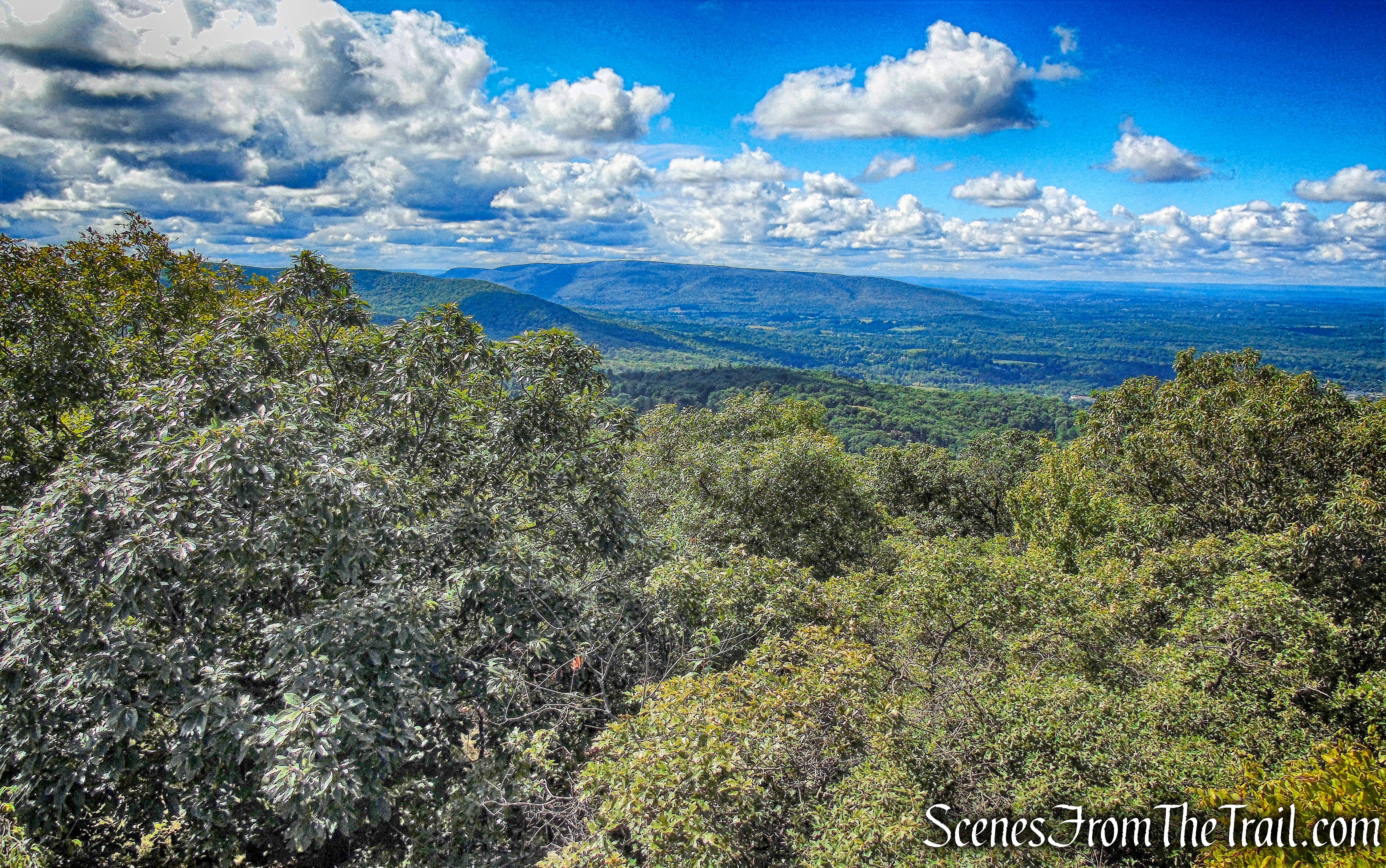 view west from the summit of Butter Hill