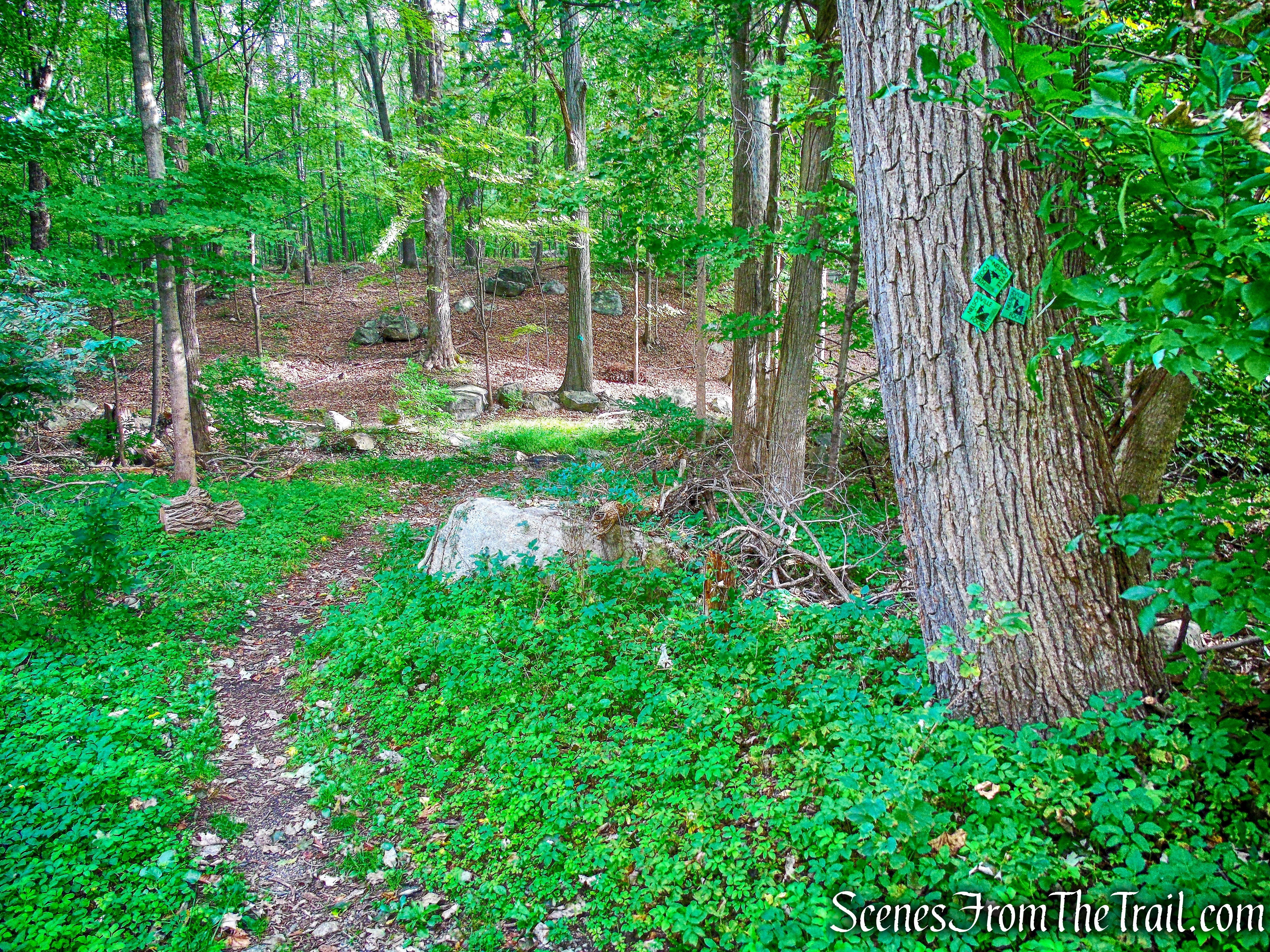 Nelsonville Footpath