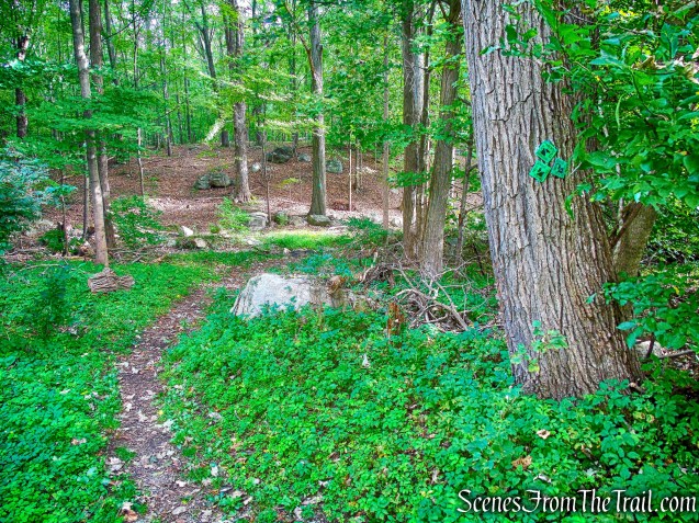 Nelsonville Footpath