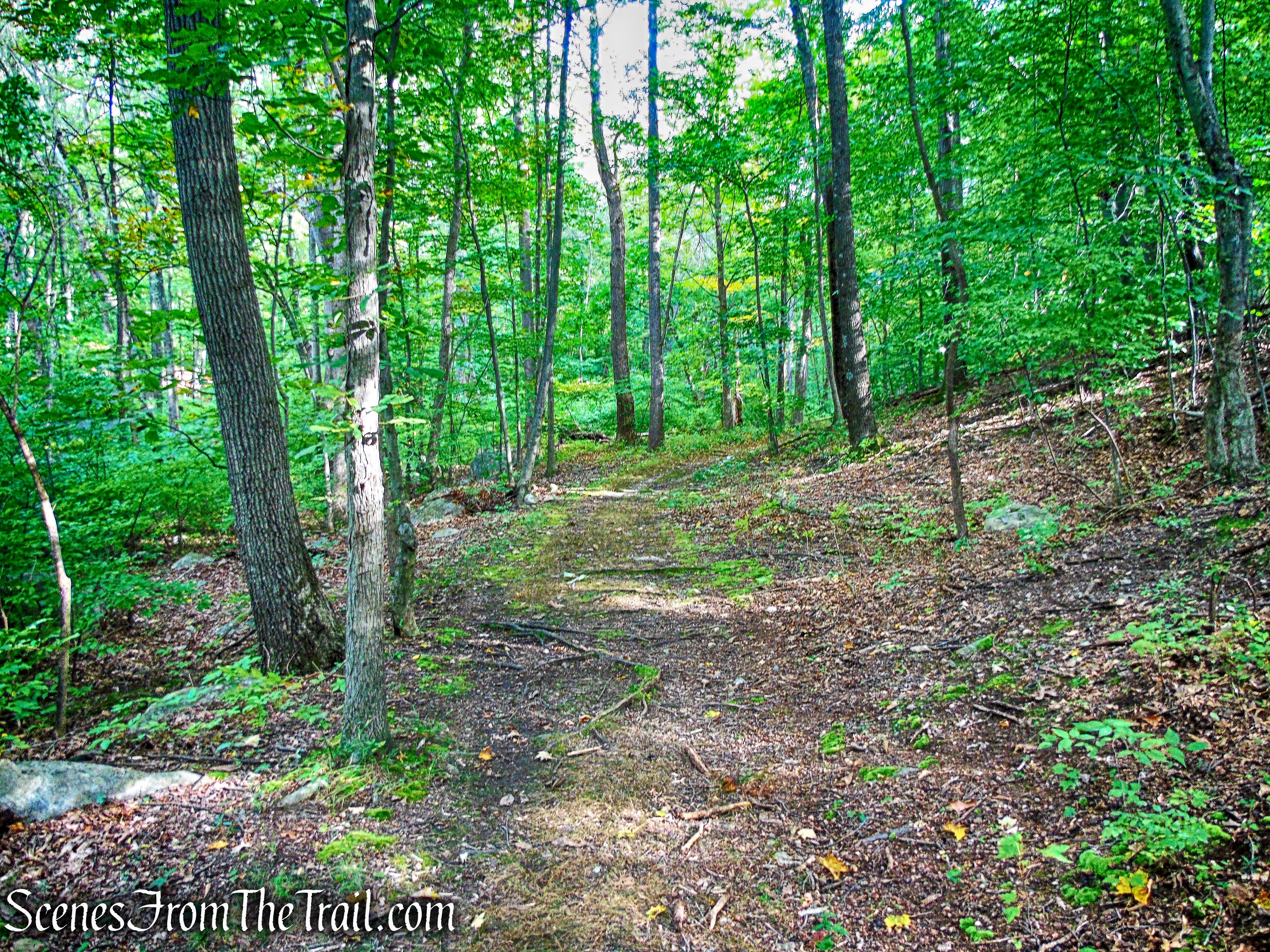 Nelsonville Footpath