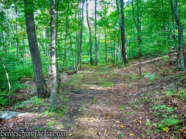 Nelsonville Footpath