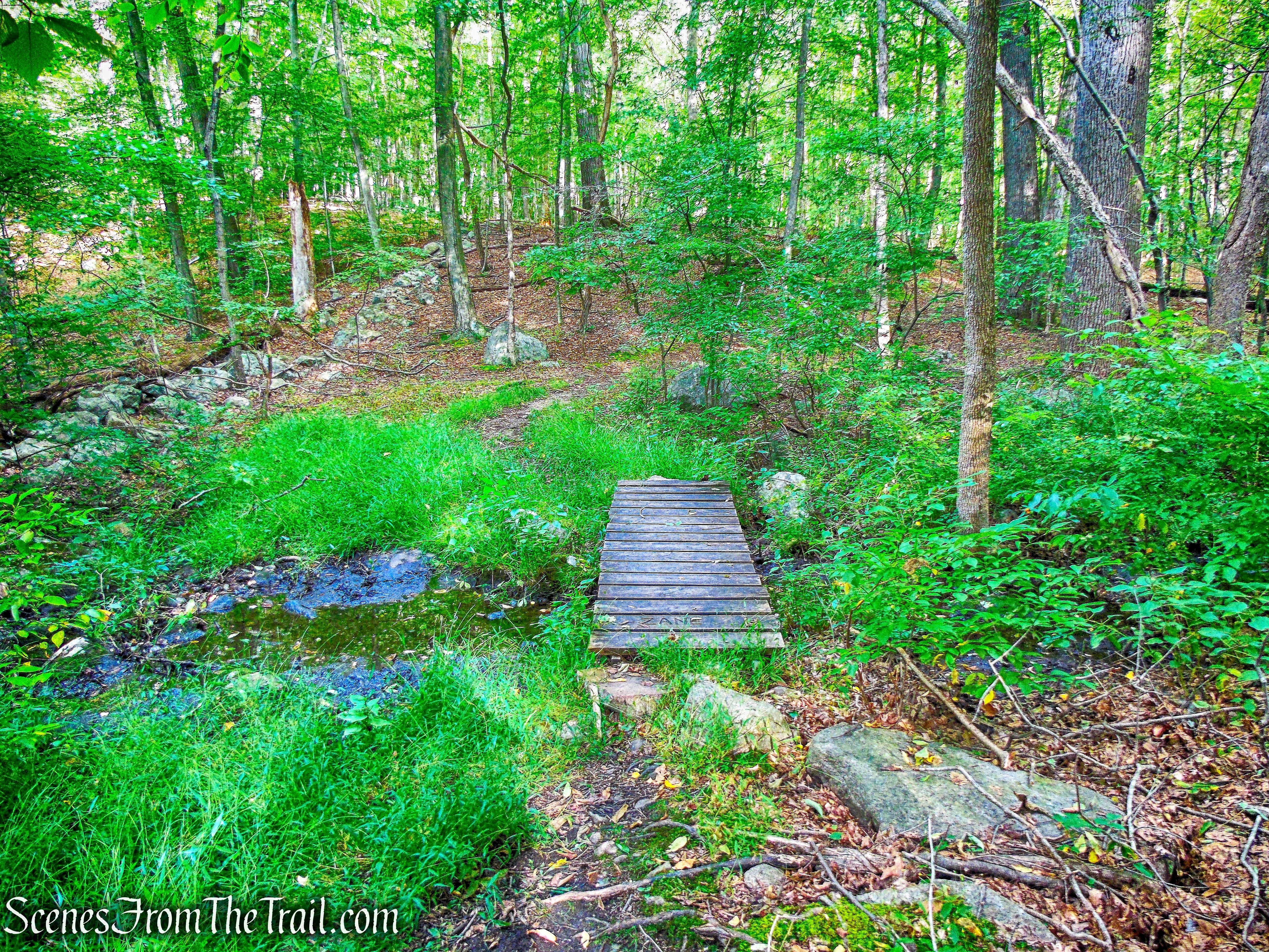 wooden bridge - Nelsonville Footpath