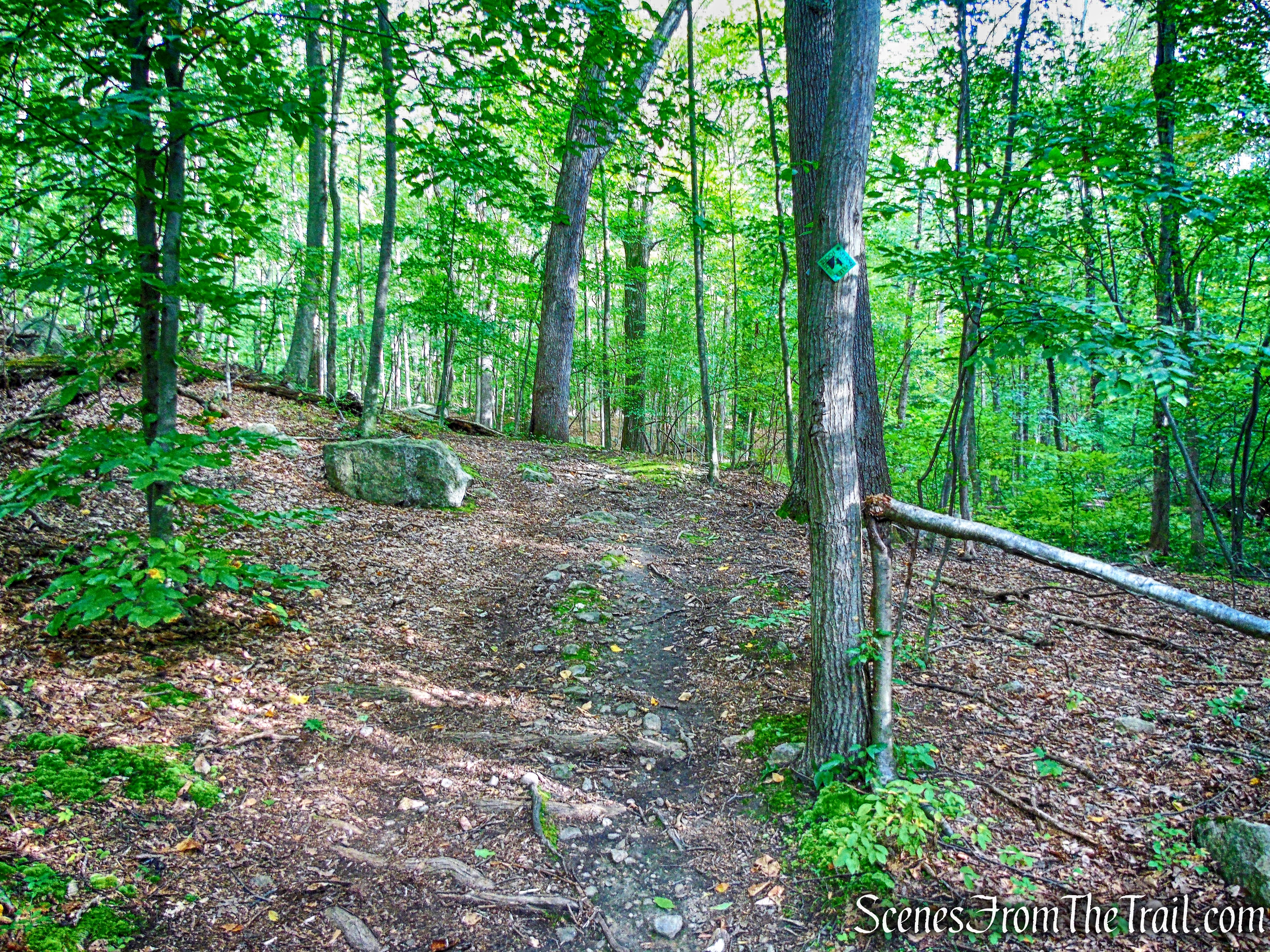 Nelsonville Footpath