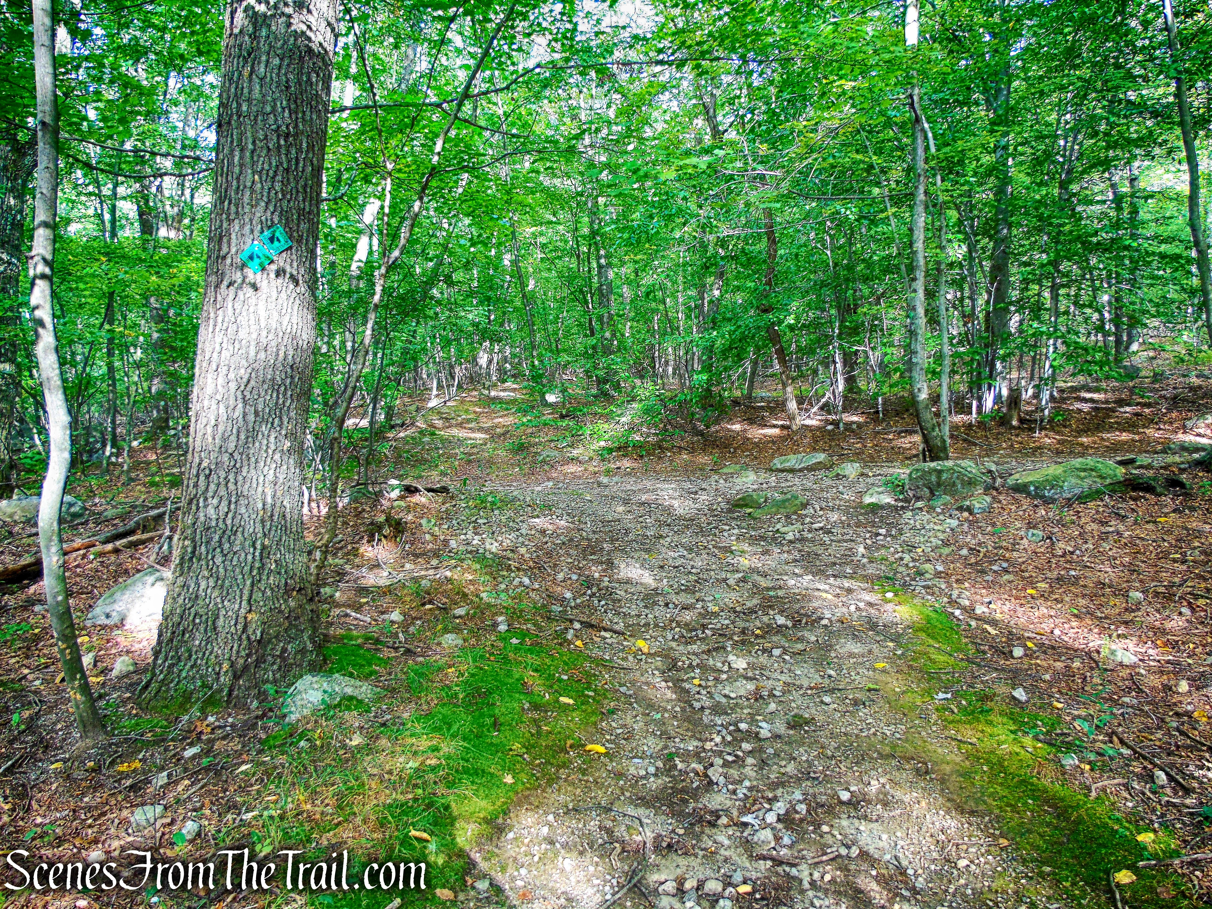 Nelsonville Footpath