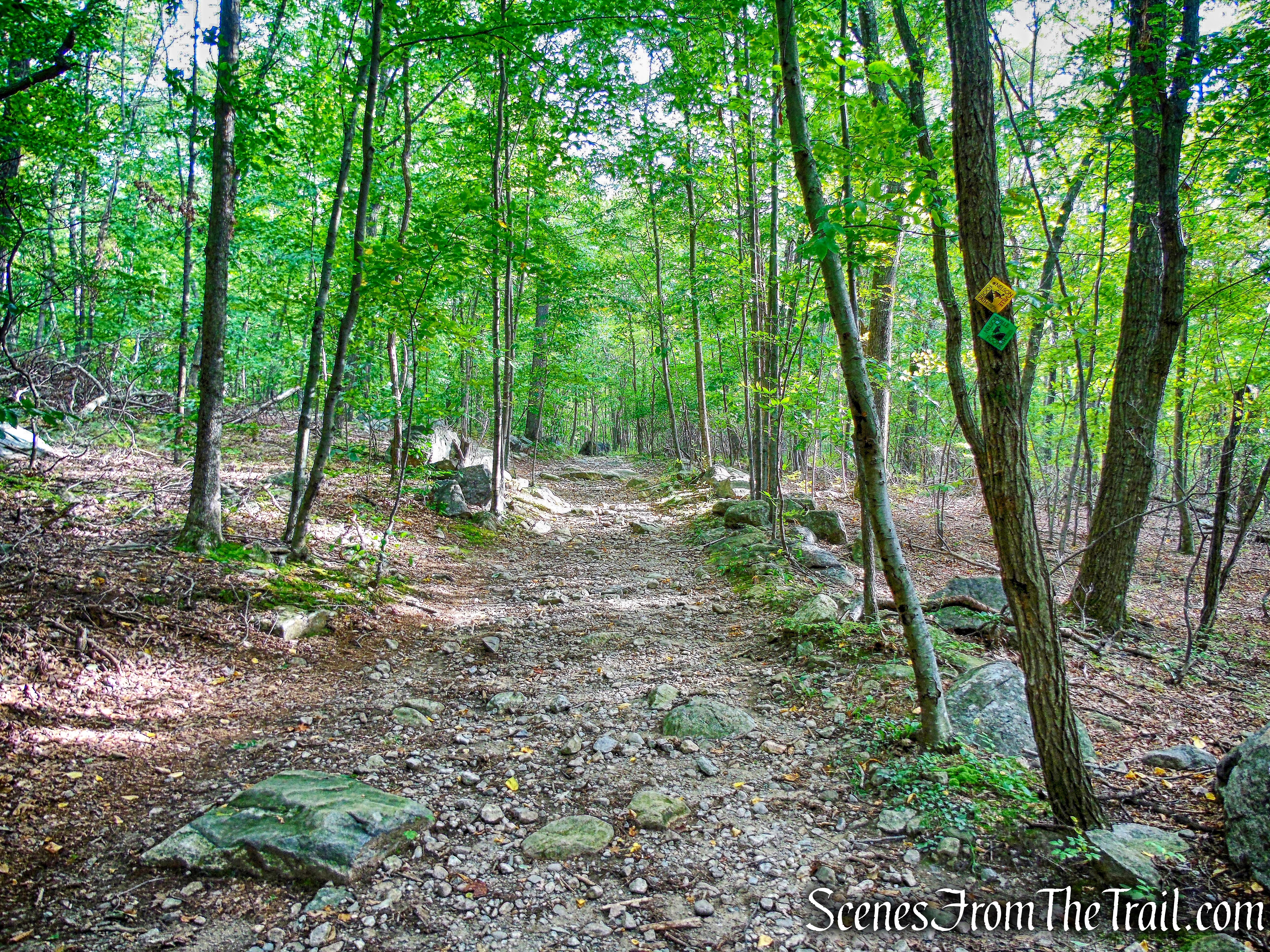 joint Nelsonville Footpath/Undercliff Trail