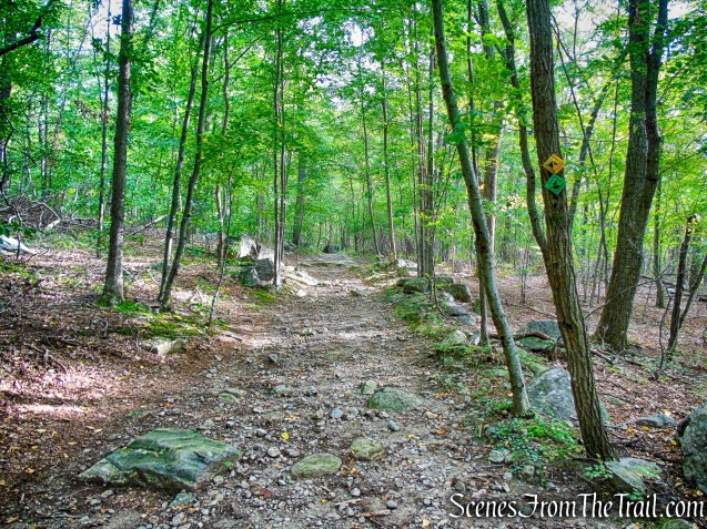 joint Nelsonville Footpath/Undercliff Trail