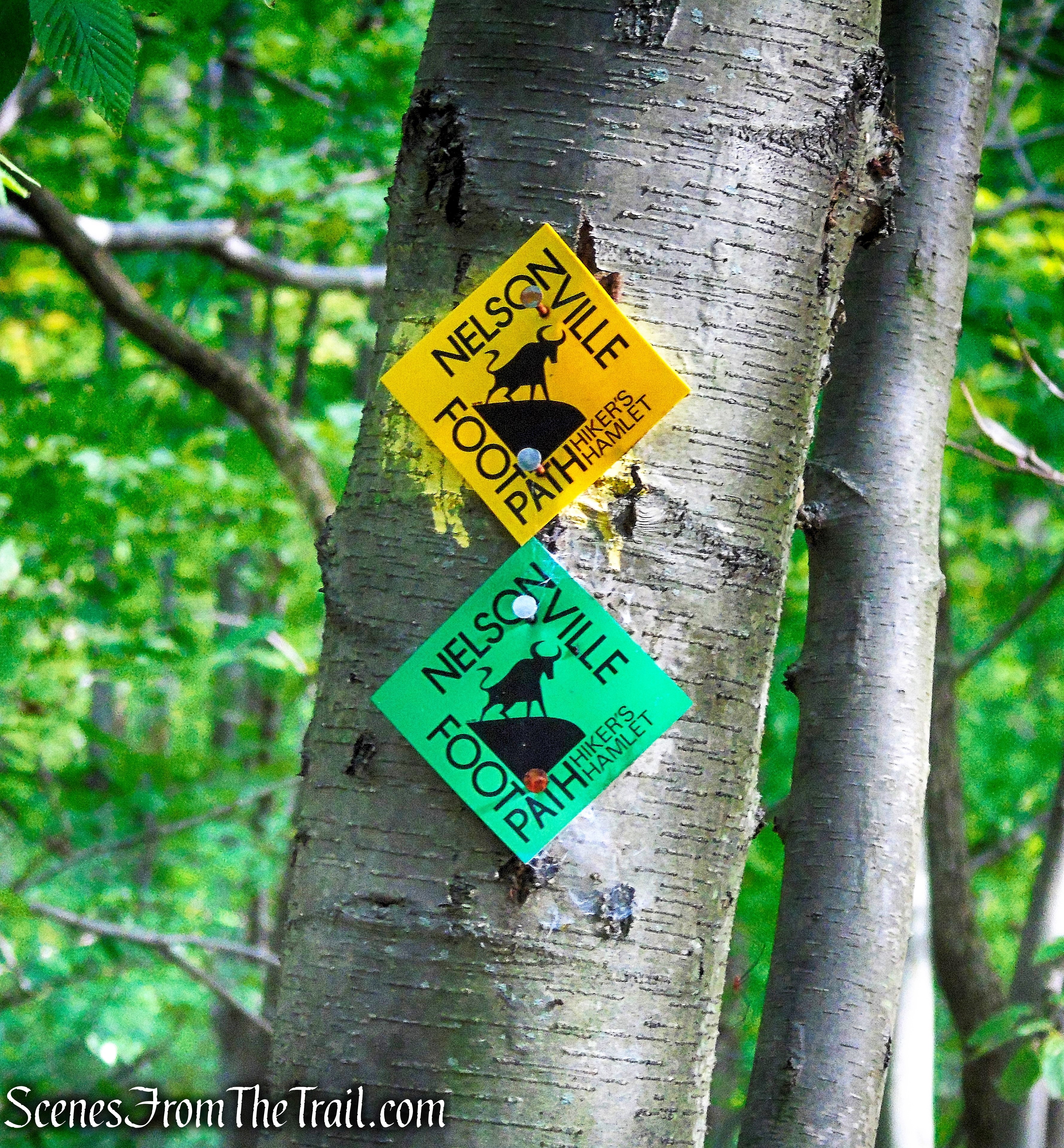 joint Nelsonville Footpath/Undercliff Trail