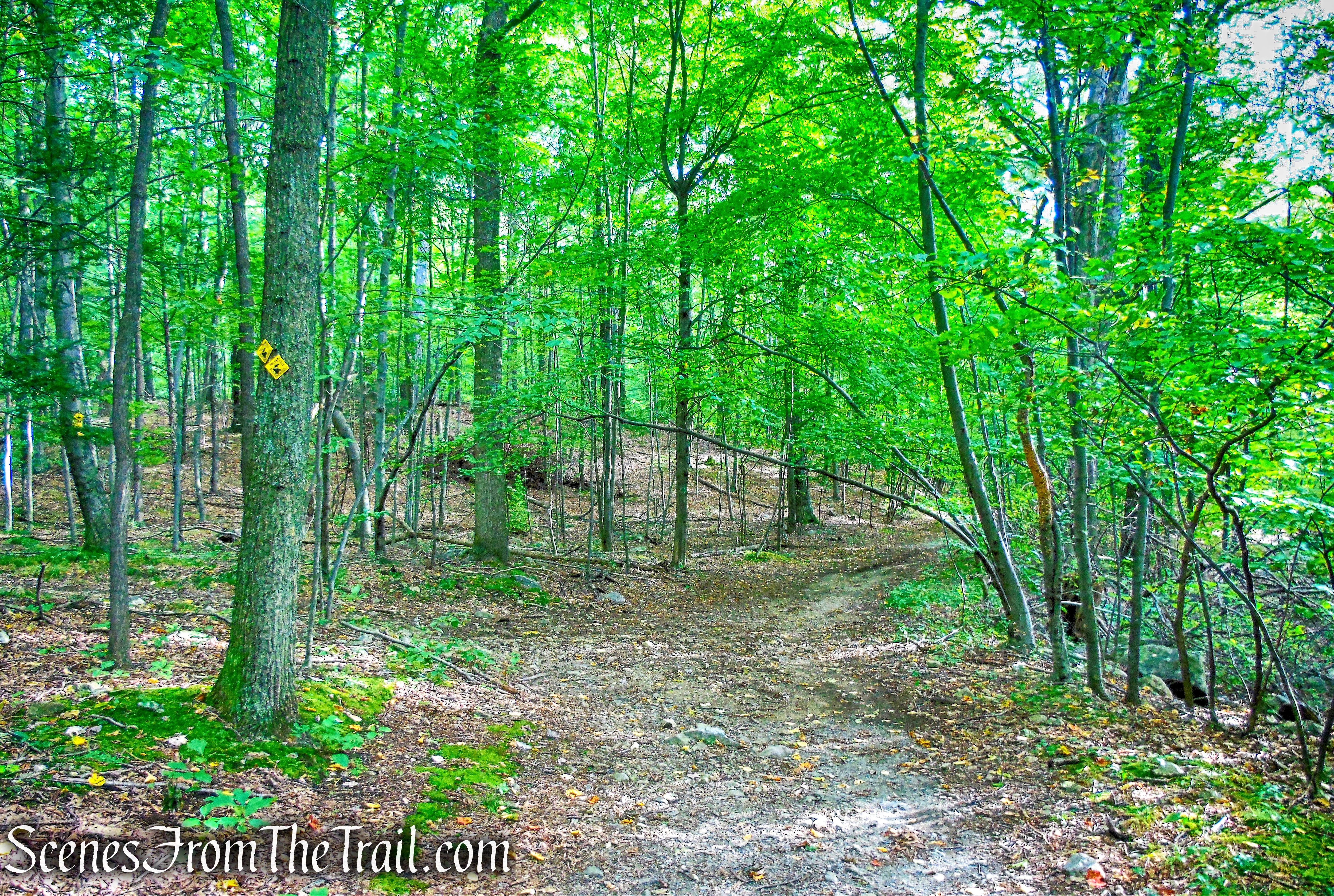 Undercliff Trail leaves to the left