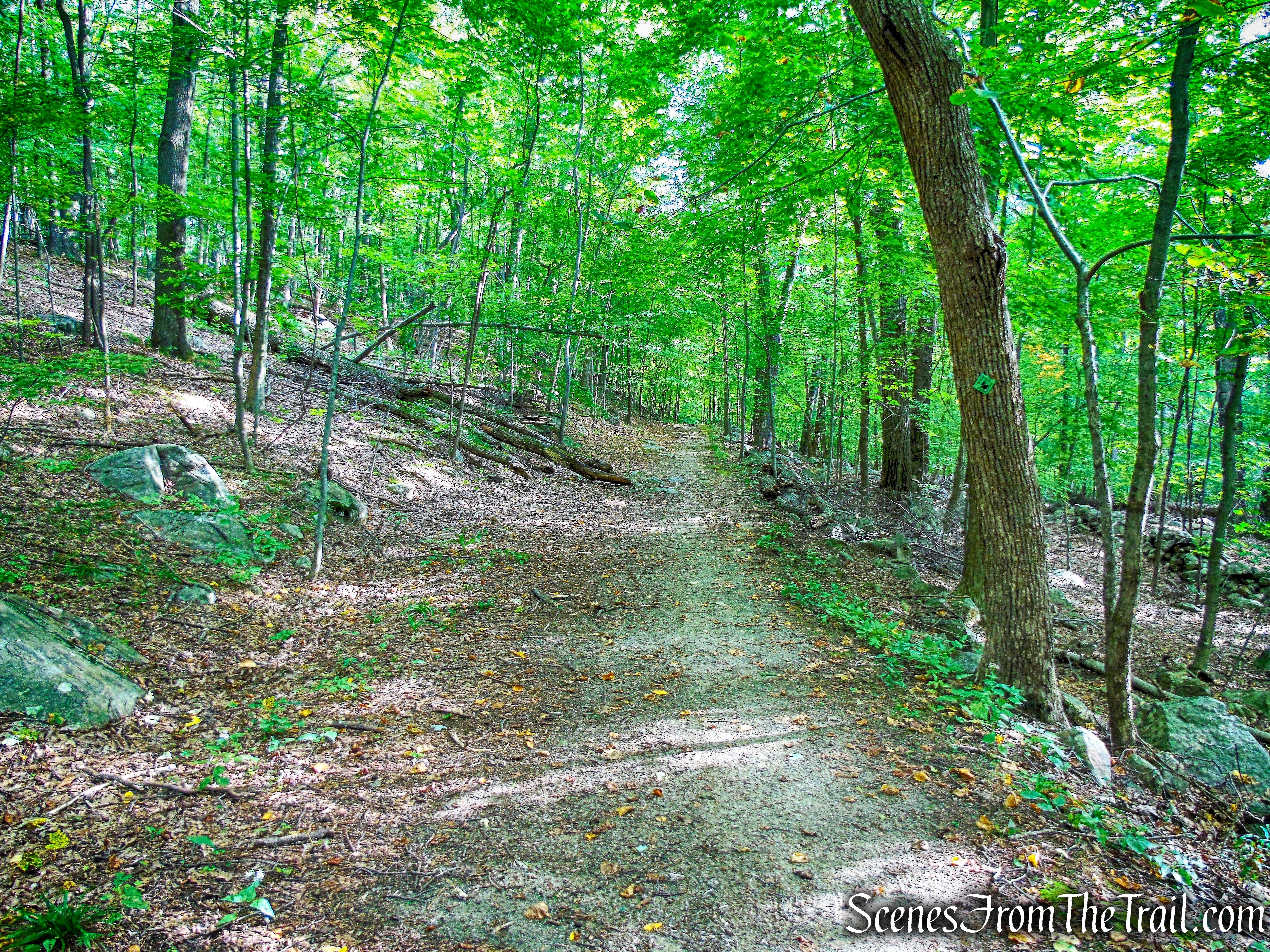 continue ahead on Nelsonville Footpath