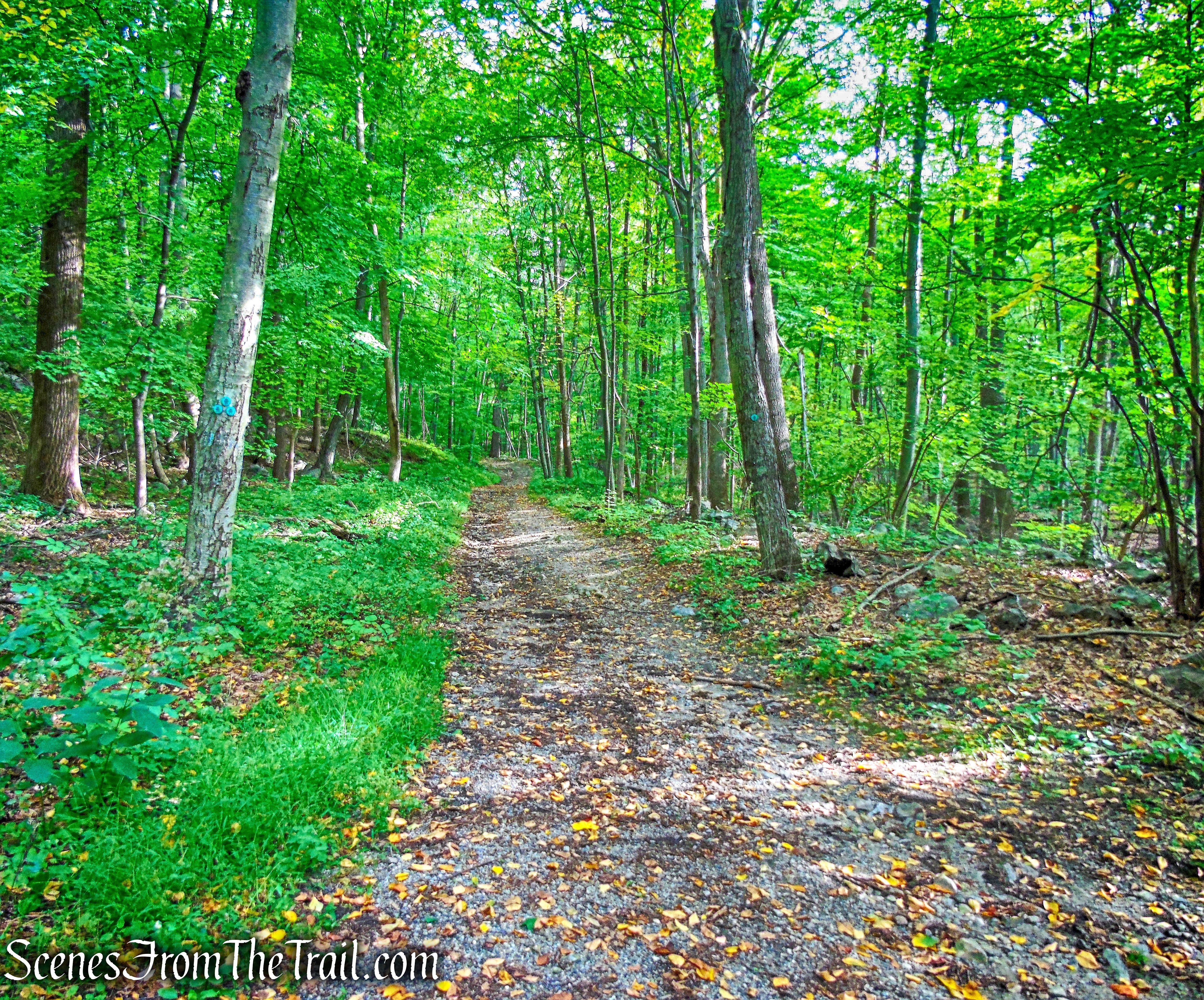 Nelsonville Footpath