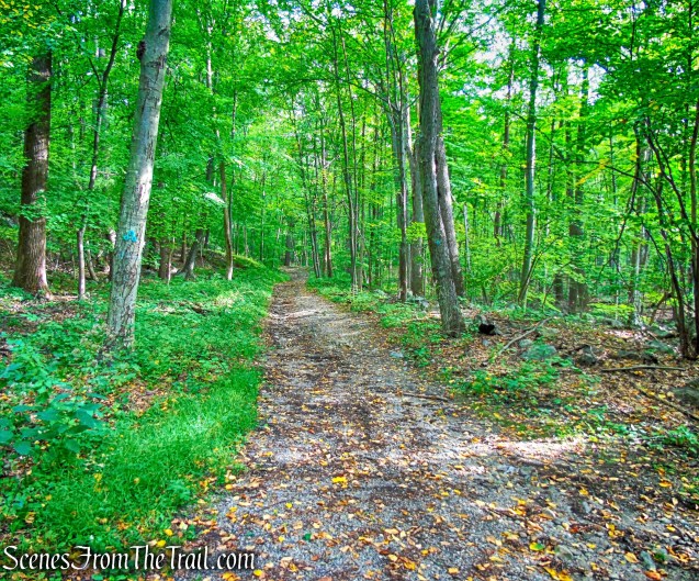Nelsonville Footpath