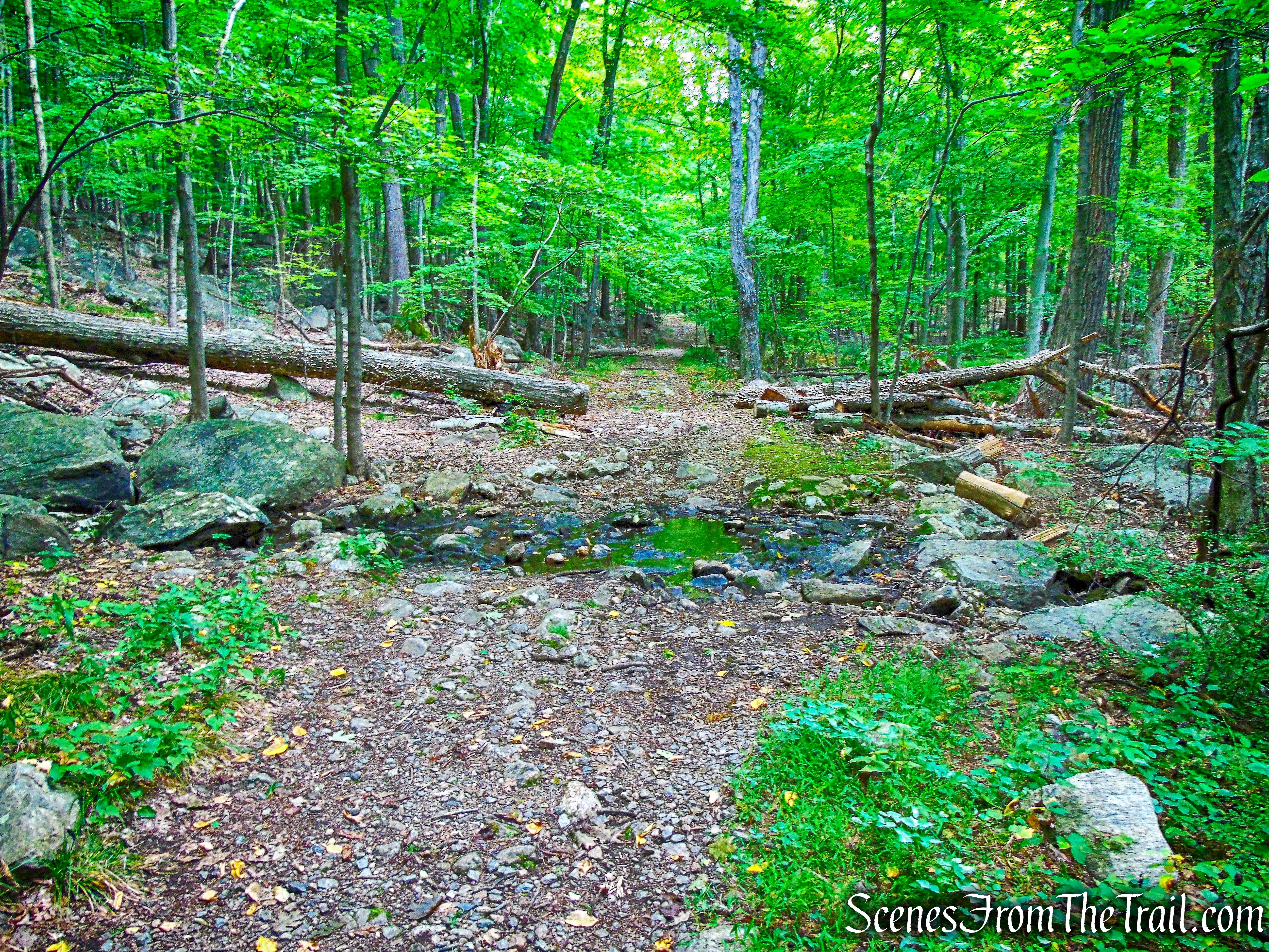 stream crossing - Nelsonville Footpath