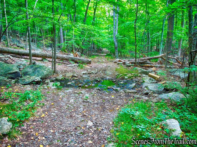 stream crossing - Nelsonville Footpath