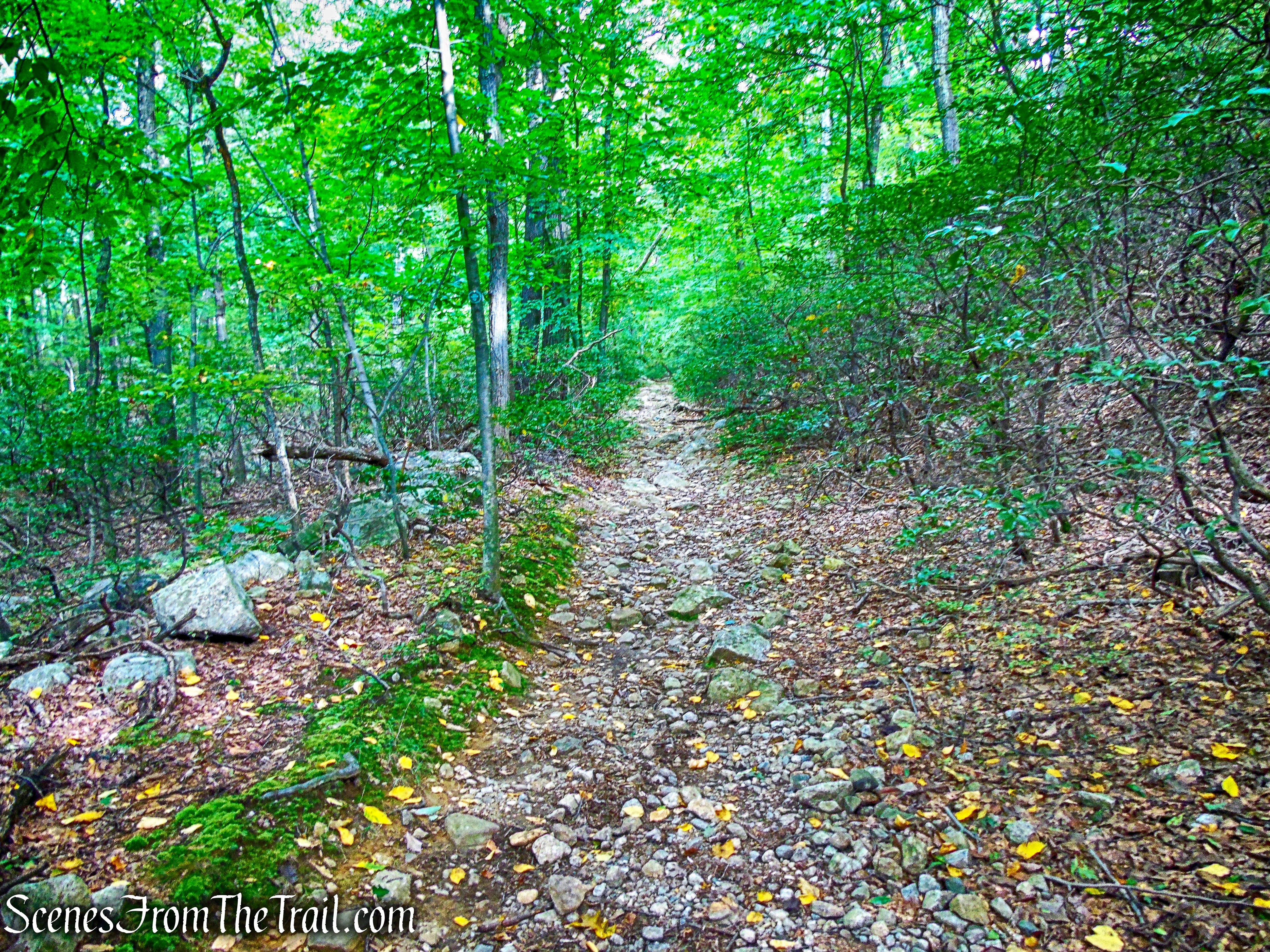 Nelsonville Footpath