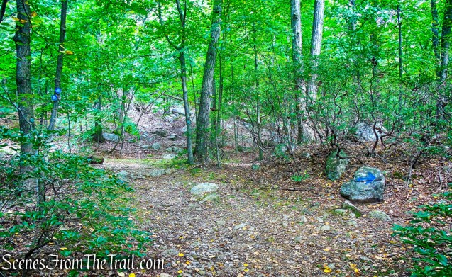 junction with Lone Star Trail