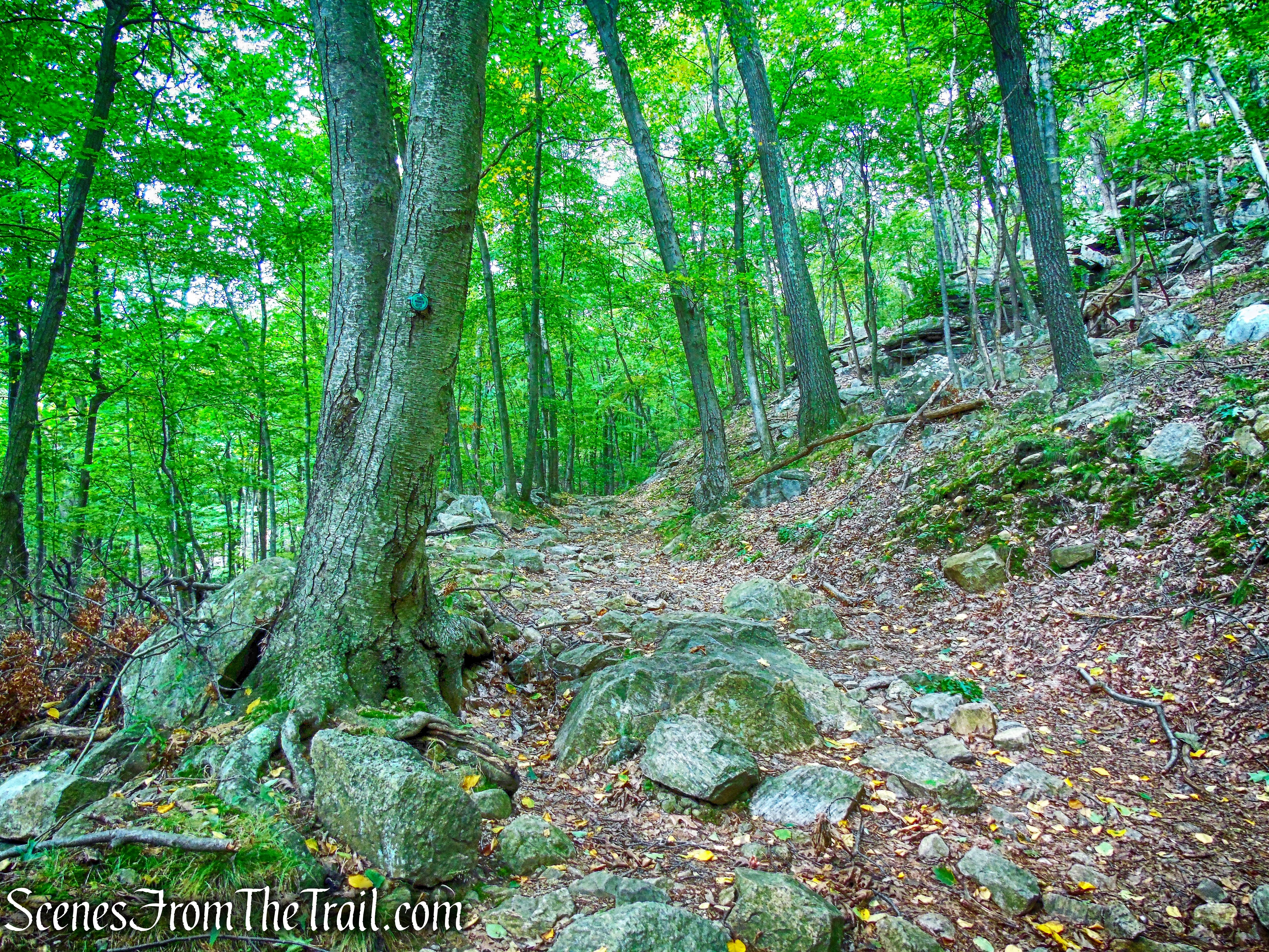 Nelsonville Footpath