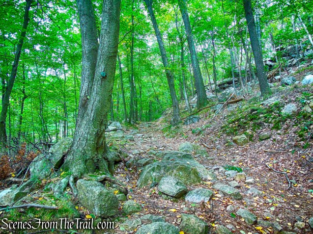 Nelsonville Footpath