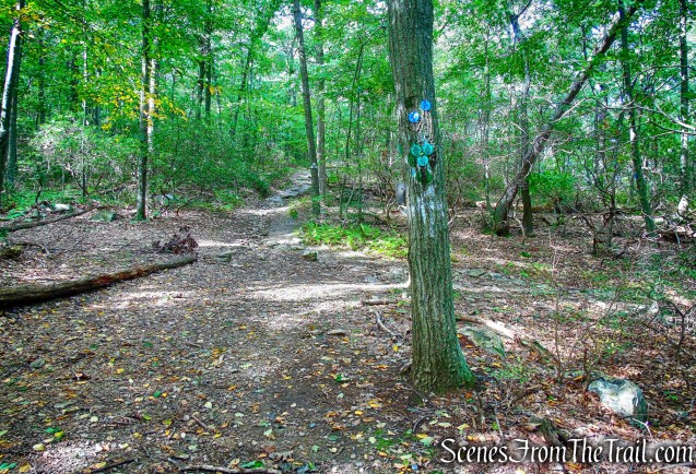 terminus of Nelsonville Footpath