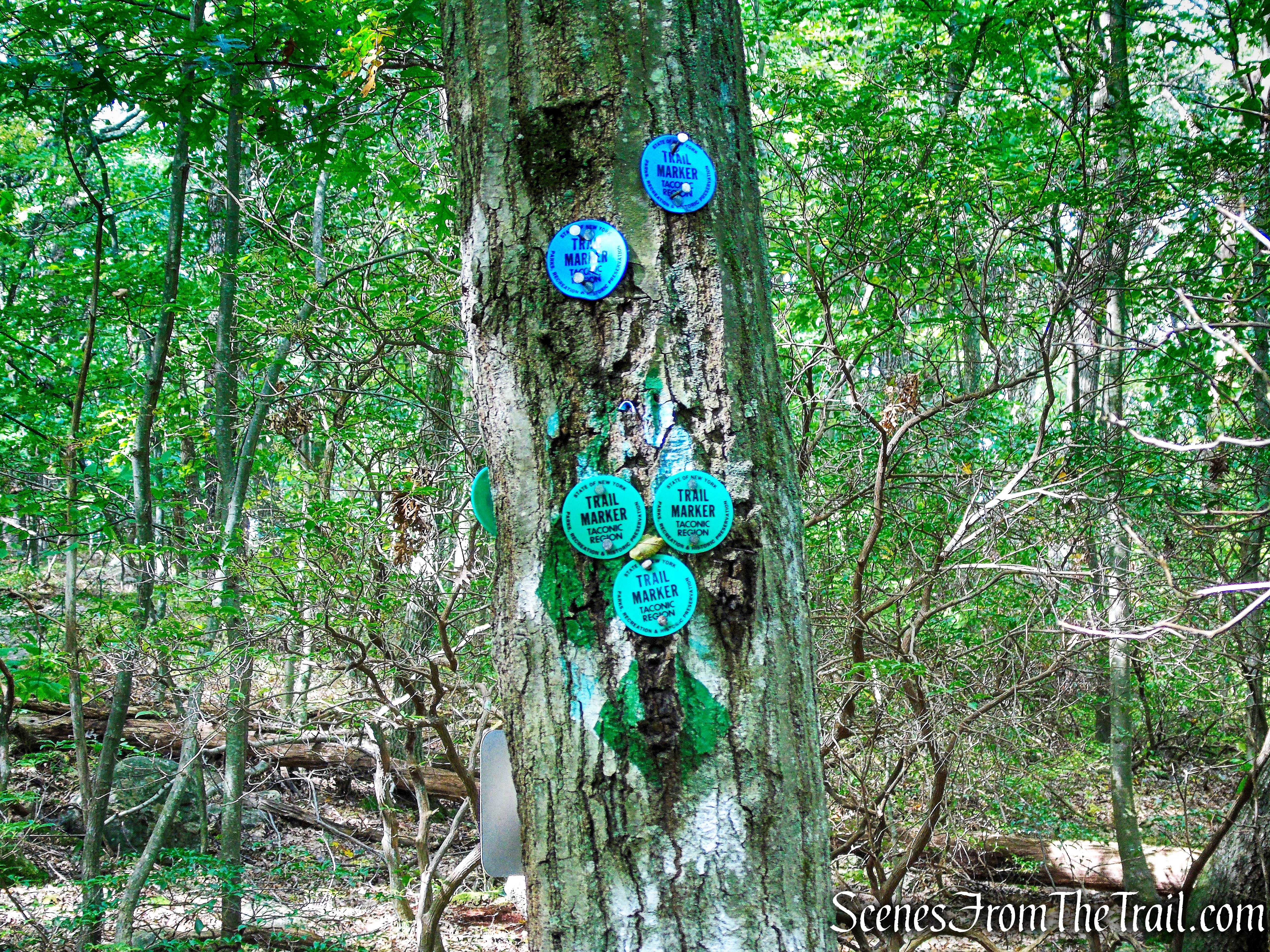 terminus of Nelsonville Footpath
