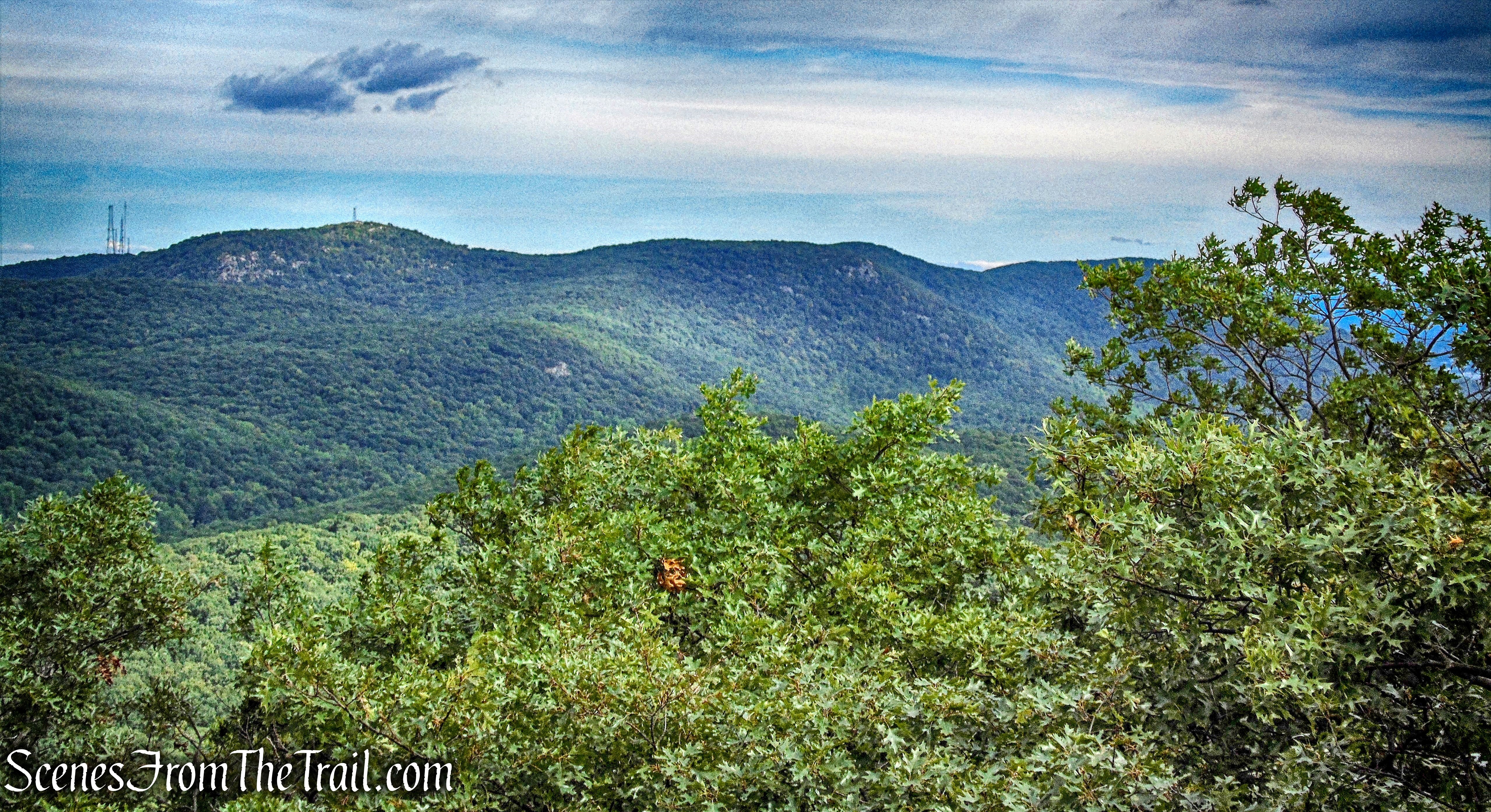 north-facing view - Washburn Trail
