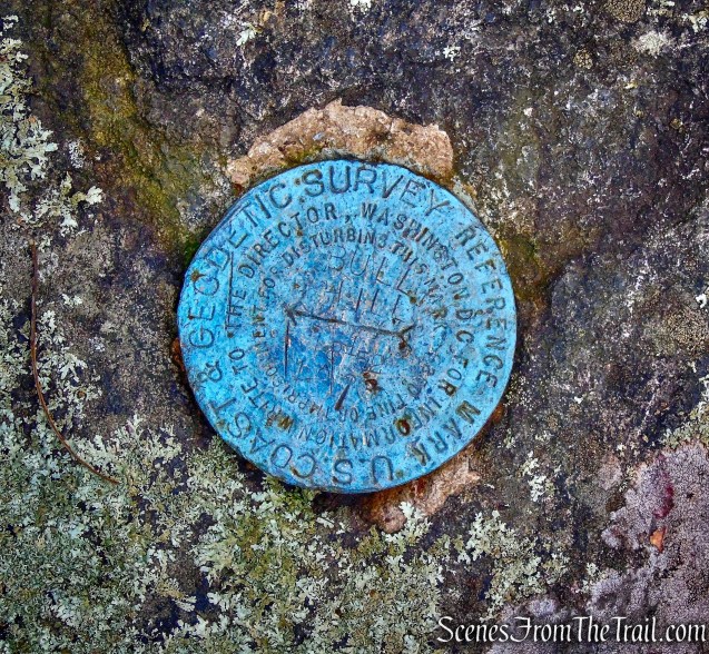 USGS survey marker - summit of Bull Hill
