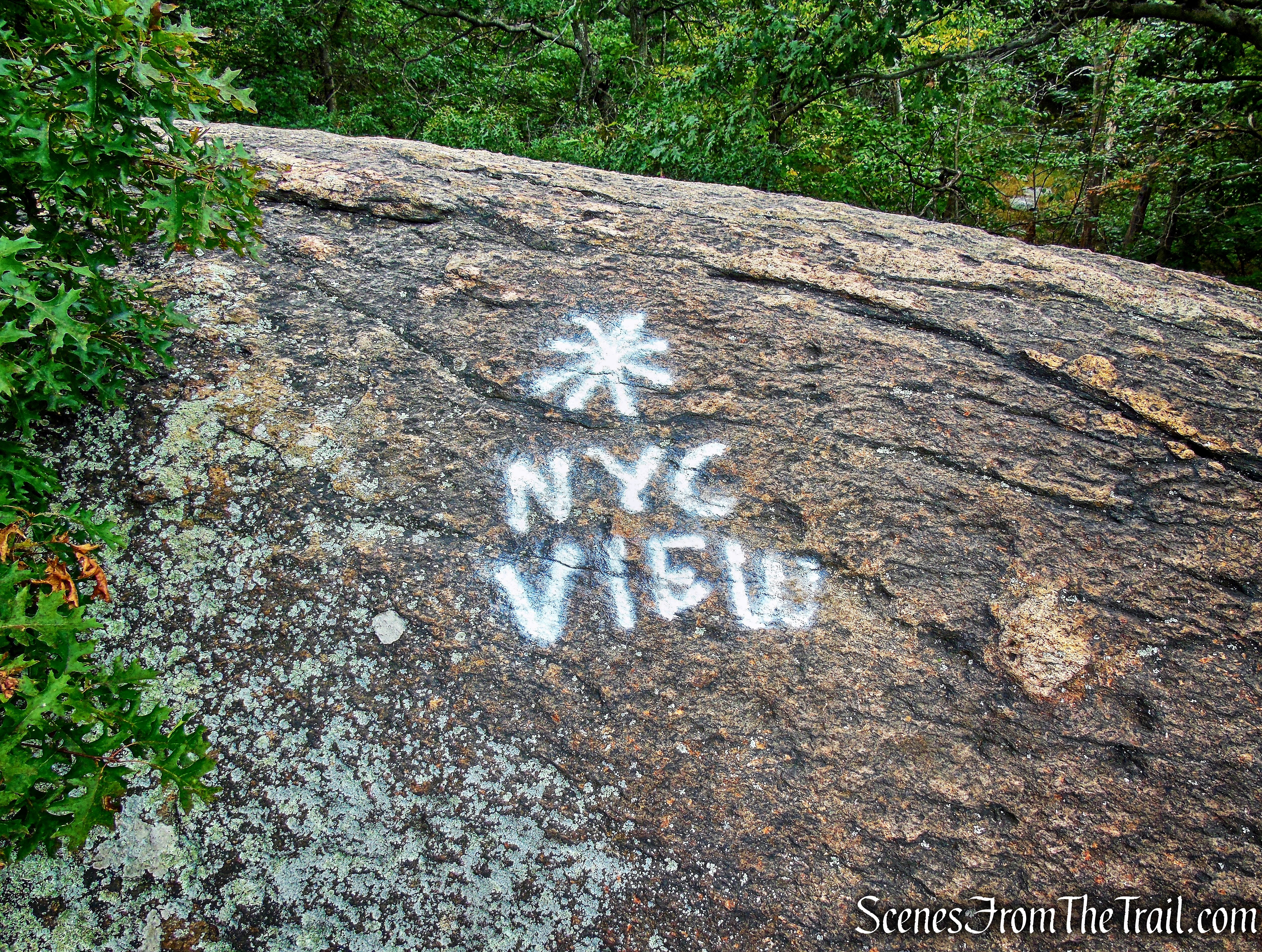 south-facing view - Washburn Trail