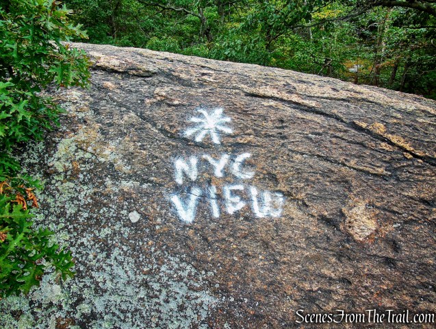 south-facing view - Washburn Trail
