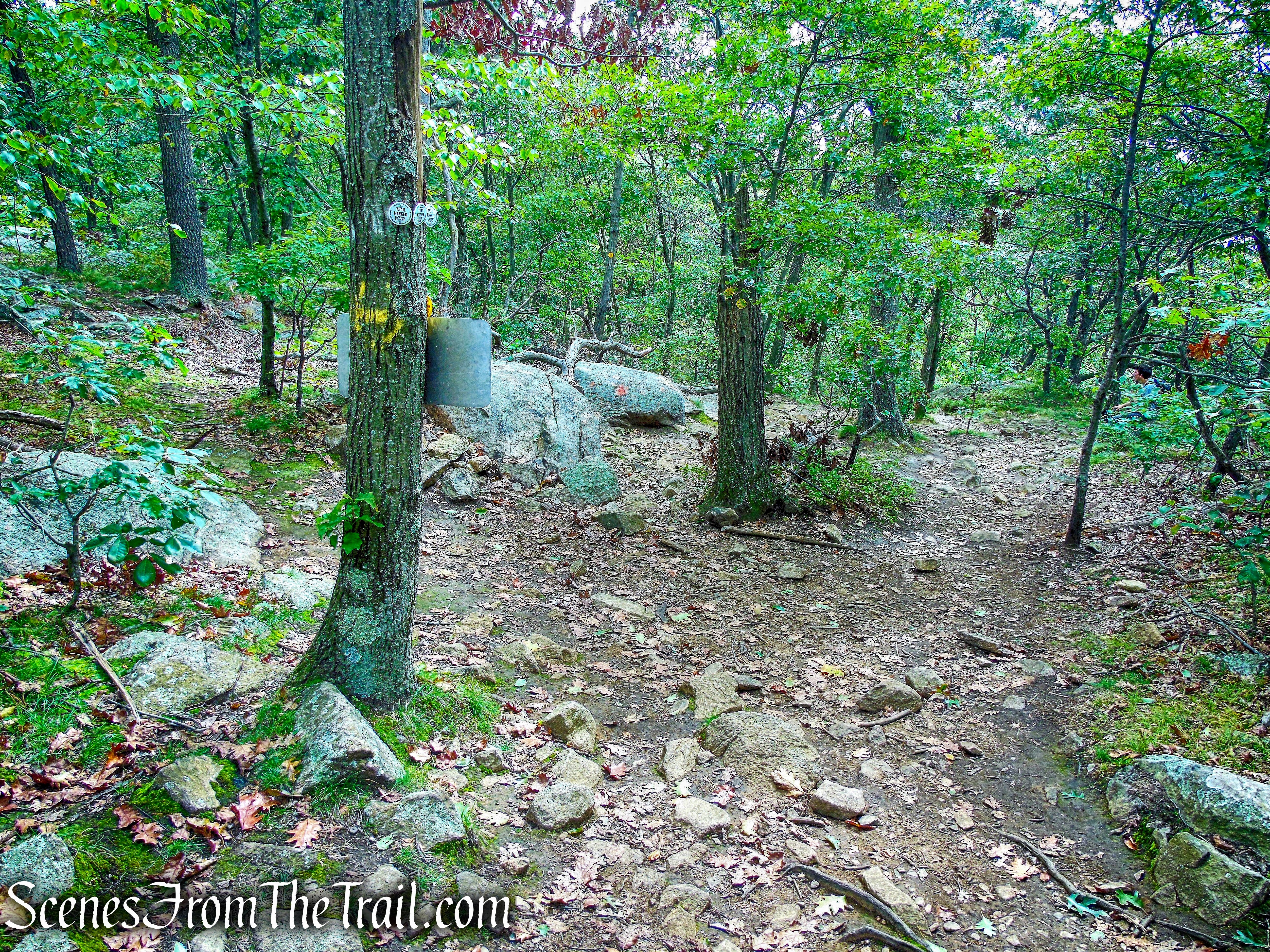turn left on the Undercliff Trail
