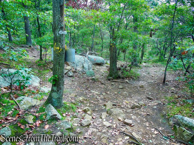 turn left on the Undercliff Trail
