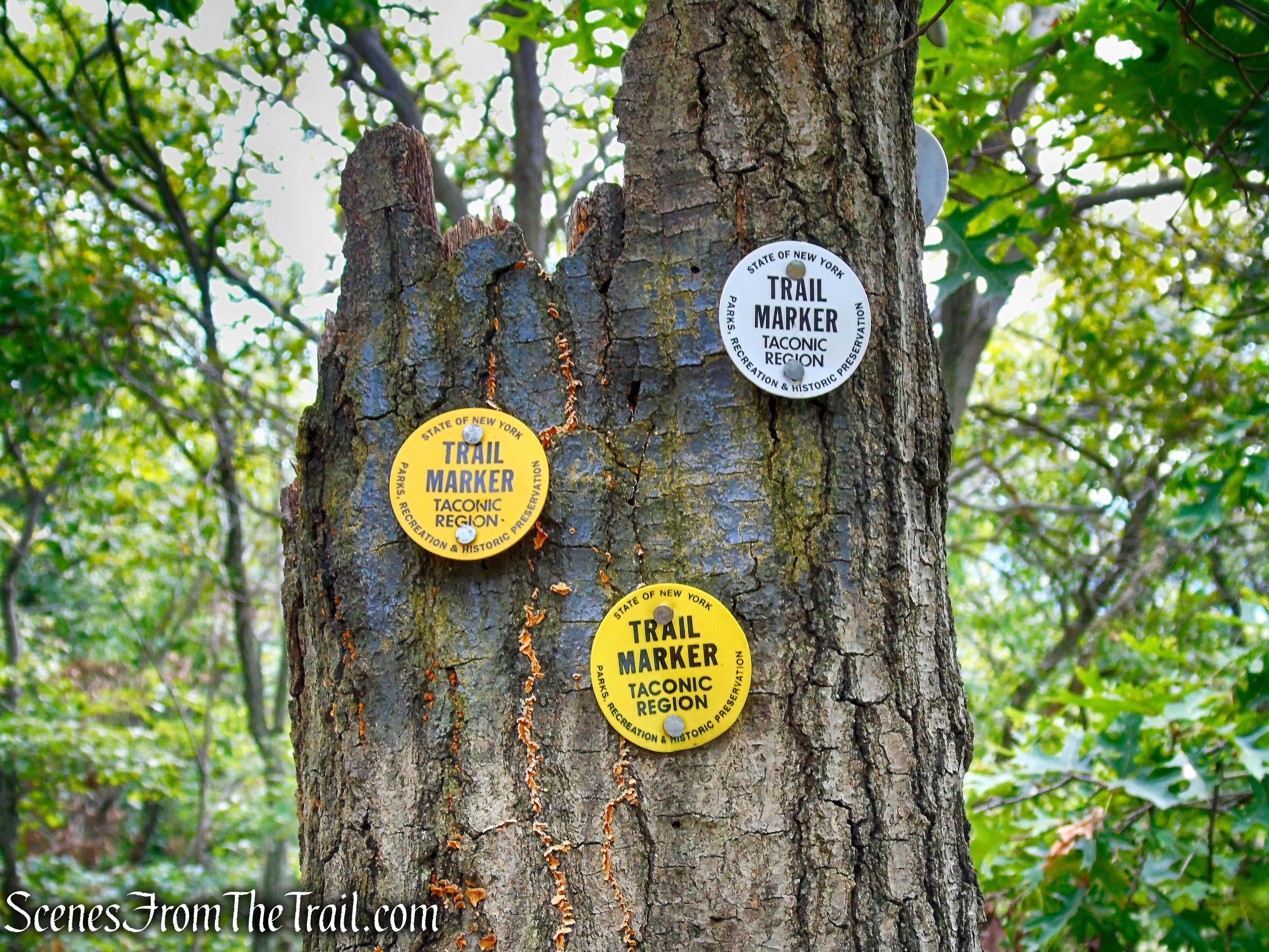 turn left on the Undercliff Trail