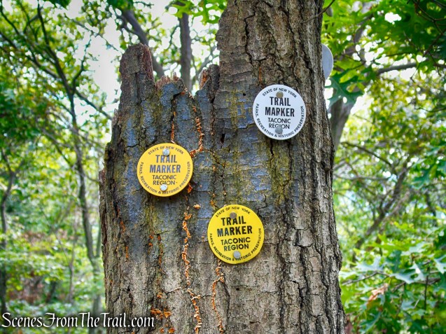 turn left on the Undercliff Trail