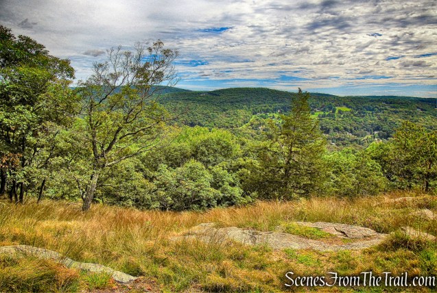 east-facing viewpoint - Undercliff Trail