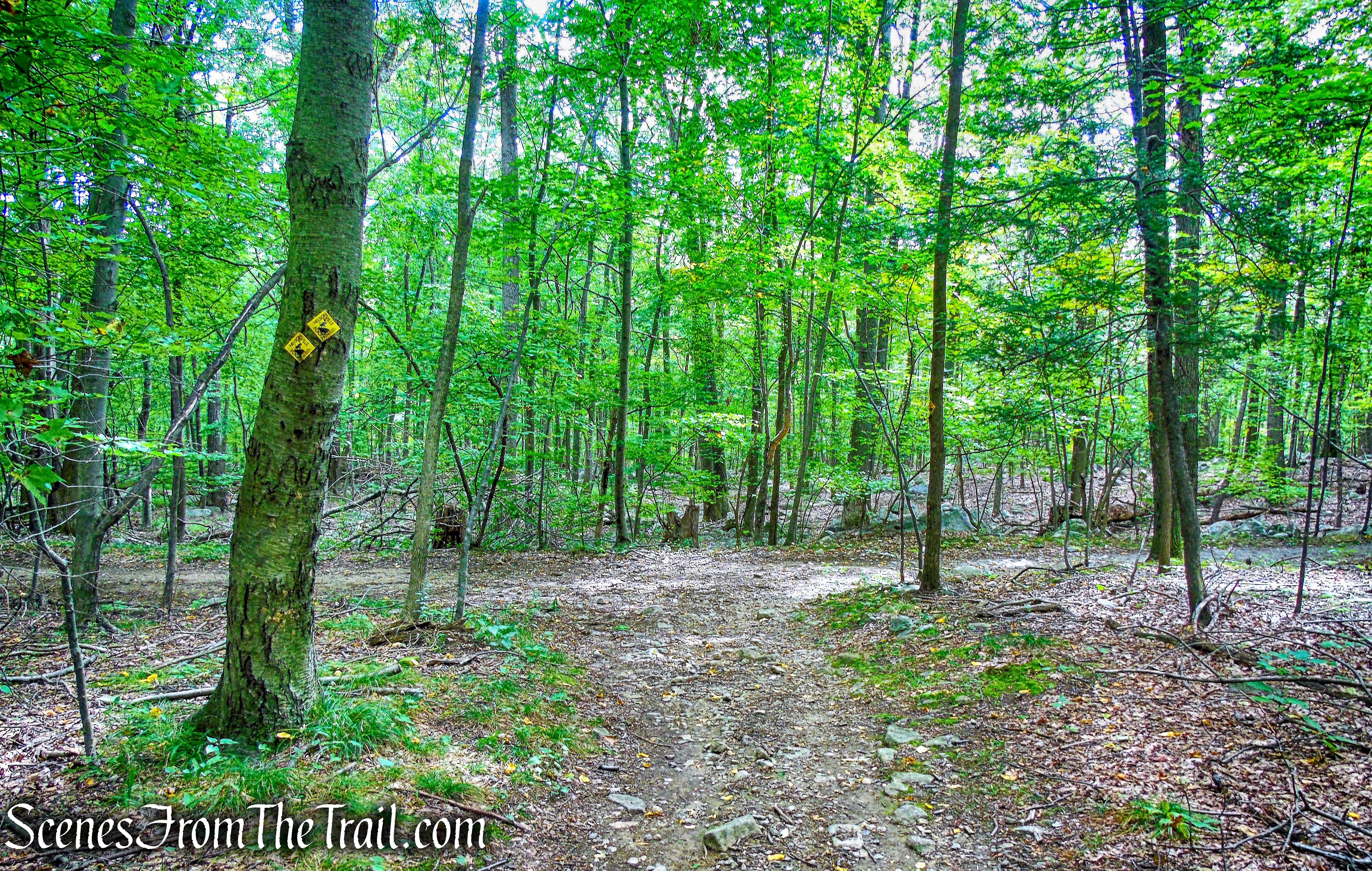 turn right onto joint Undercliff/Nelsonville Trail
