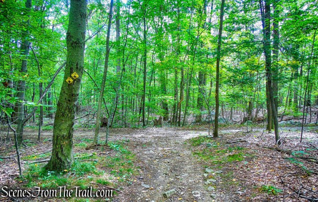 turn right onto joint Undercliff/Nelsonville Trail
