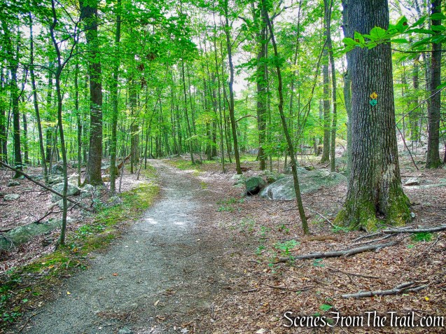  joint Undercliff/Nelsonville Trail