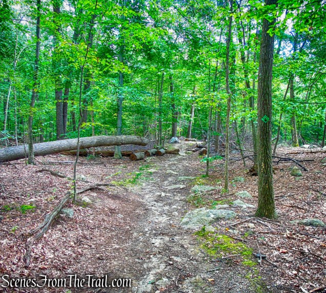 Nelsonville Footpath