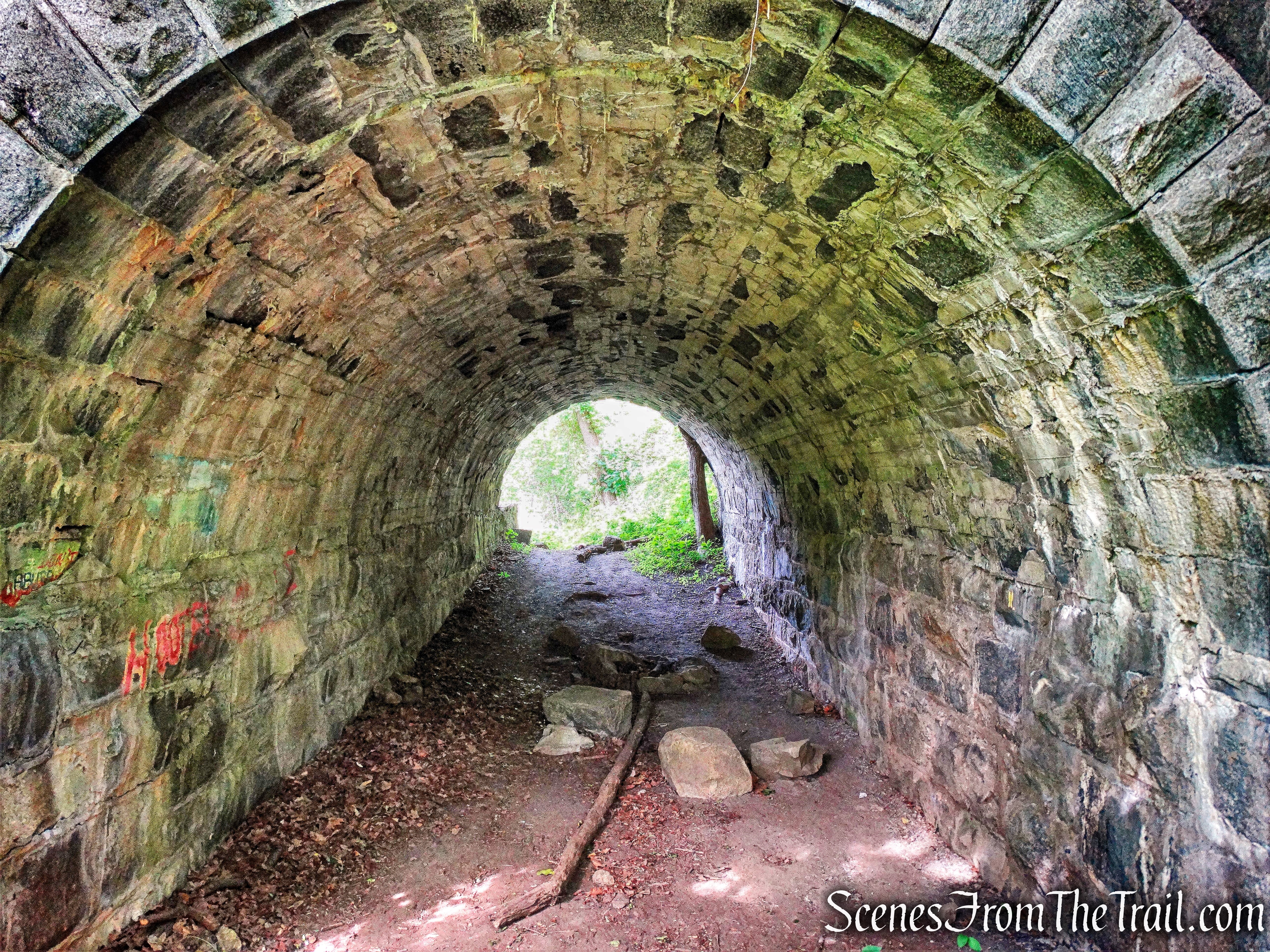 Dunderberg Spiral Railway lower tunnel