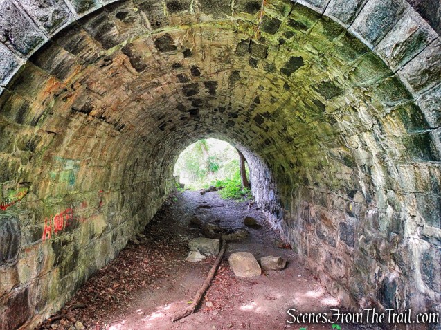 Dunderberg Spiral Railway lower tunnel