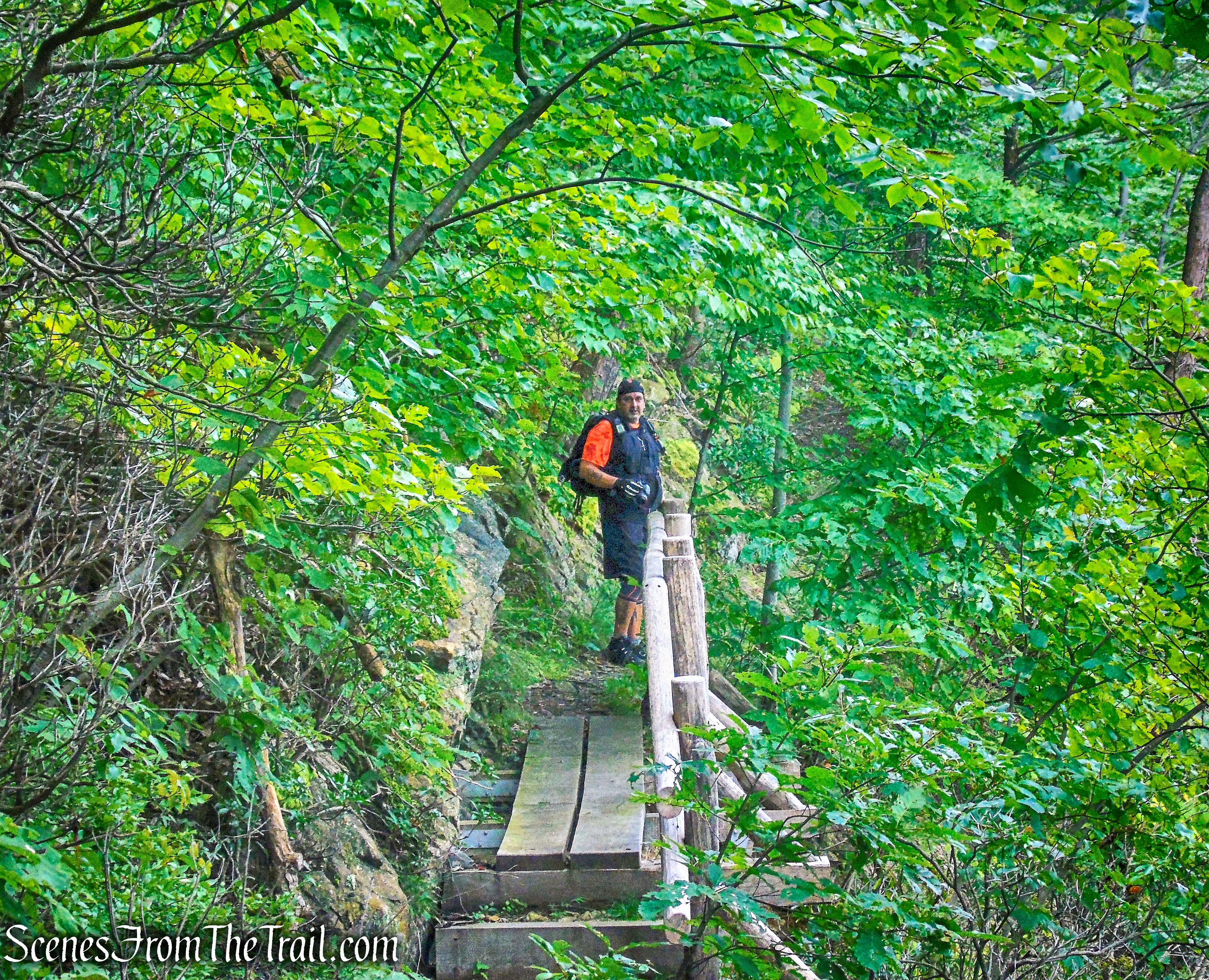 Manitou Point Preserve