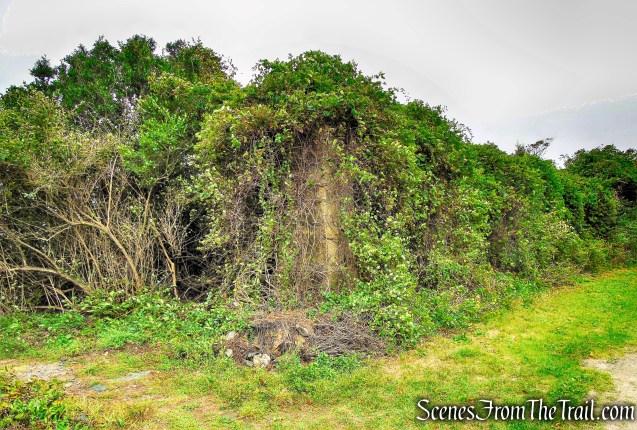 Brenton Point State Park