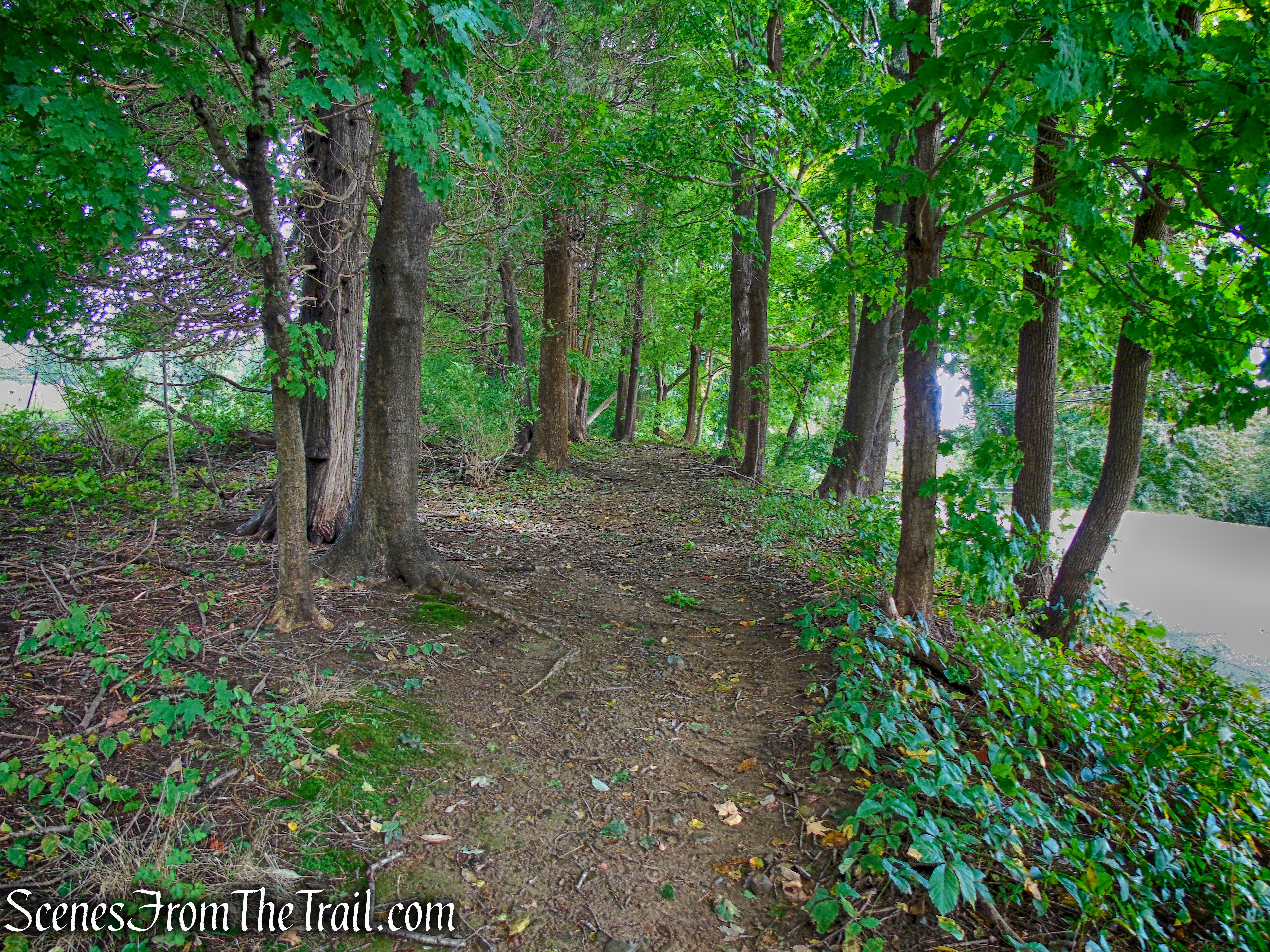 Bancroft's Castle on Gibbet Hill