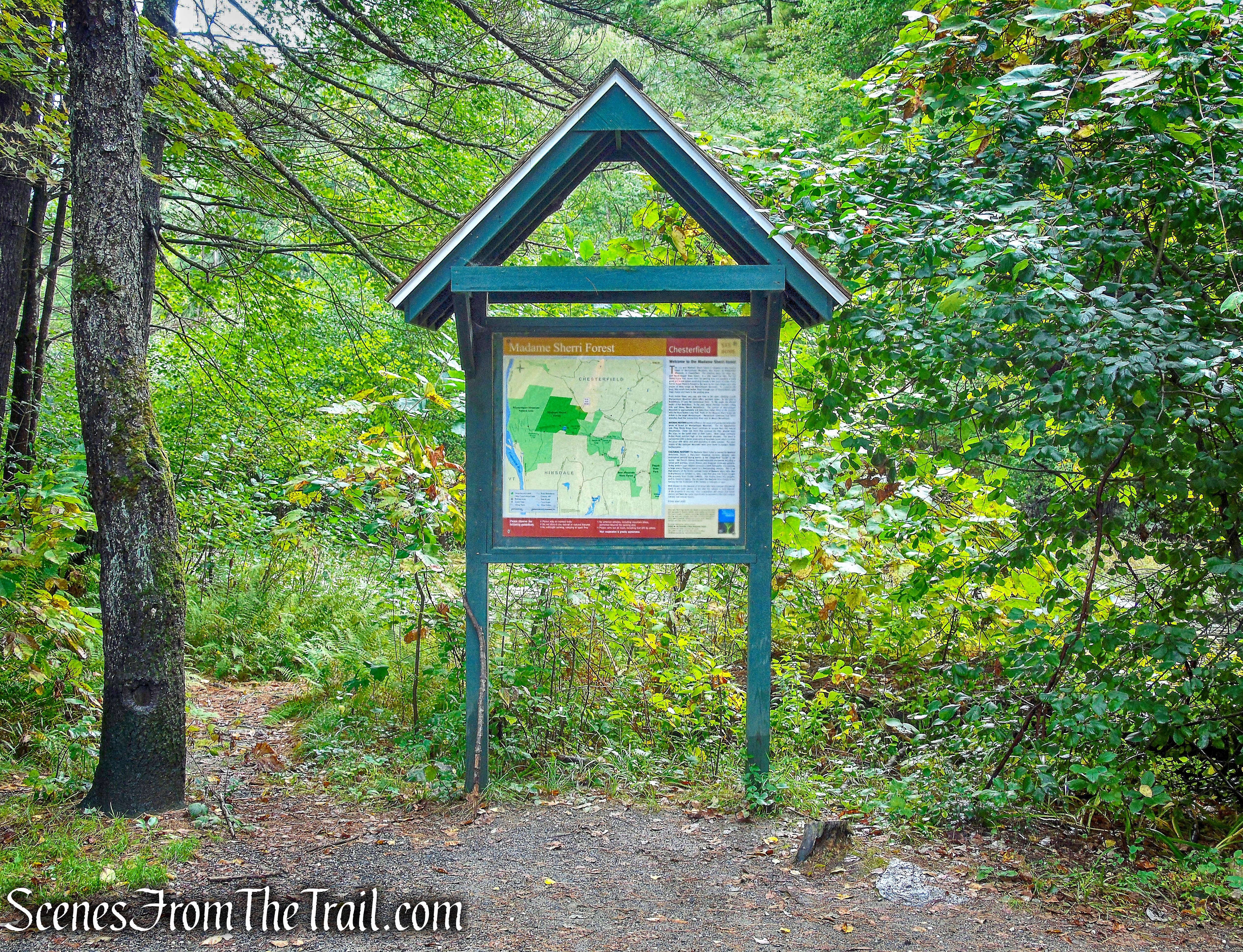 Madame Sherri Forest