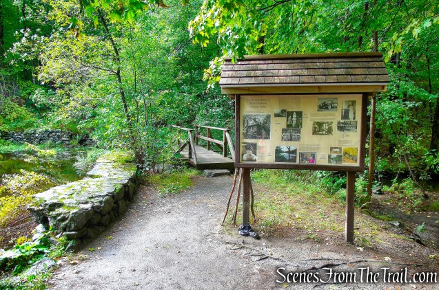 Madame Sherri Forest