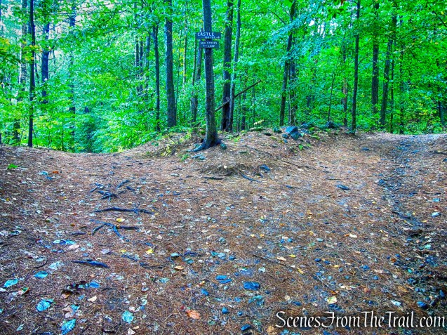 Madame Sherri Forest