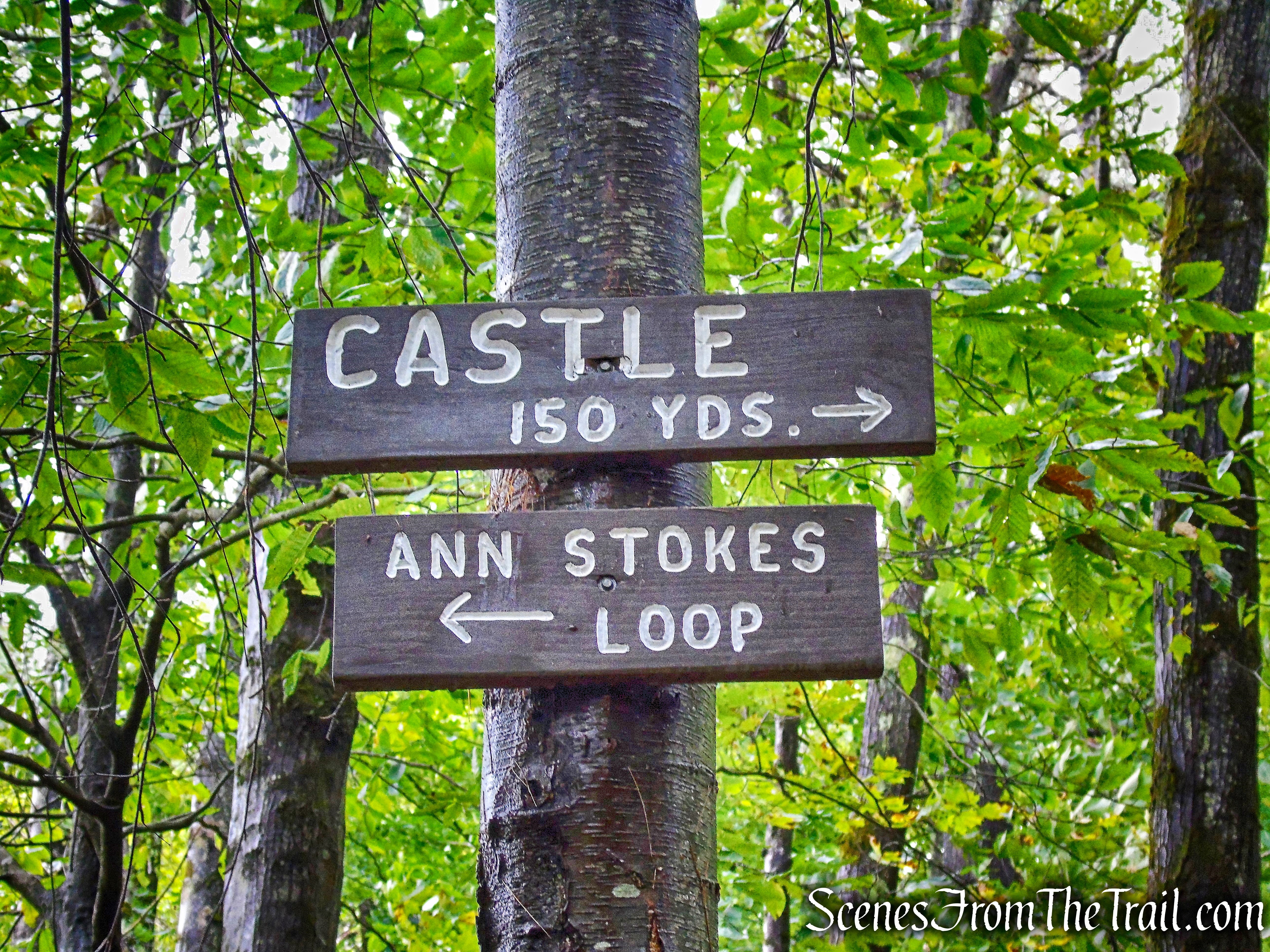 Madame Sherri Forest