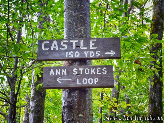 Madame Sherri Forest