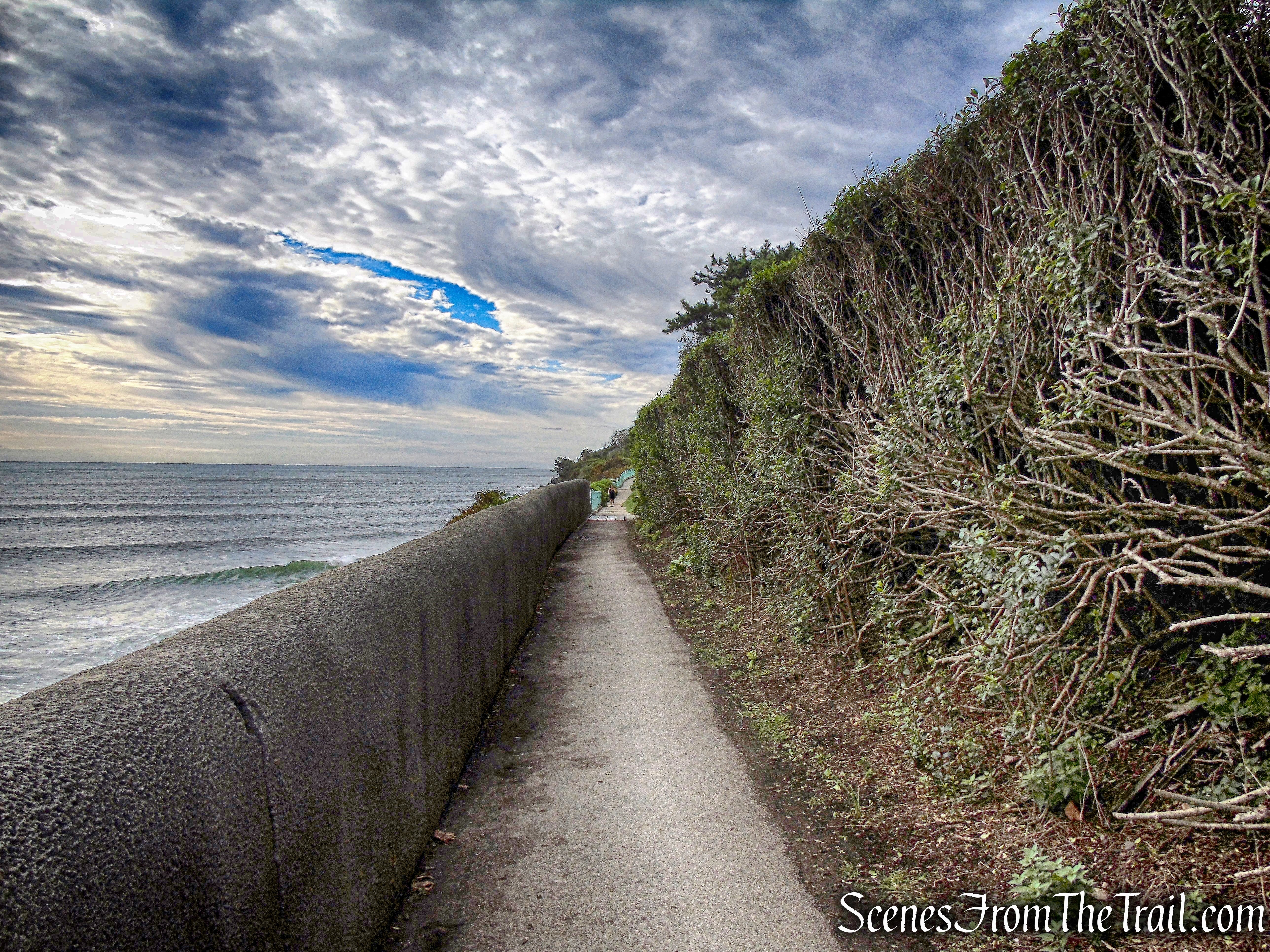1. Memorial Blvd. to Forty Steps