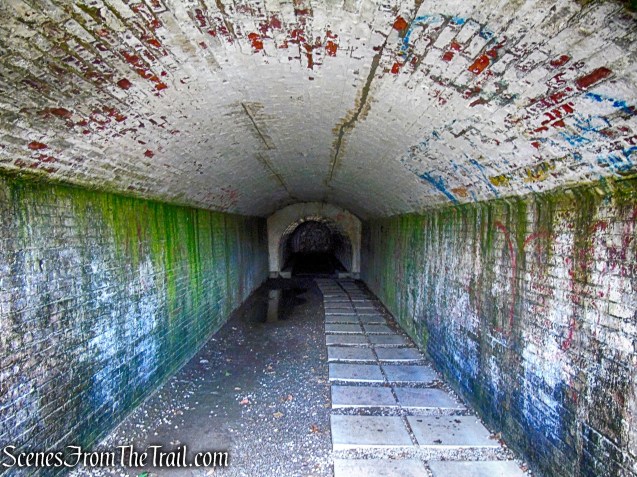 4. Belmont Beach to Ledge Rd.
